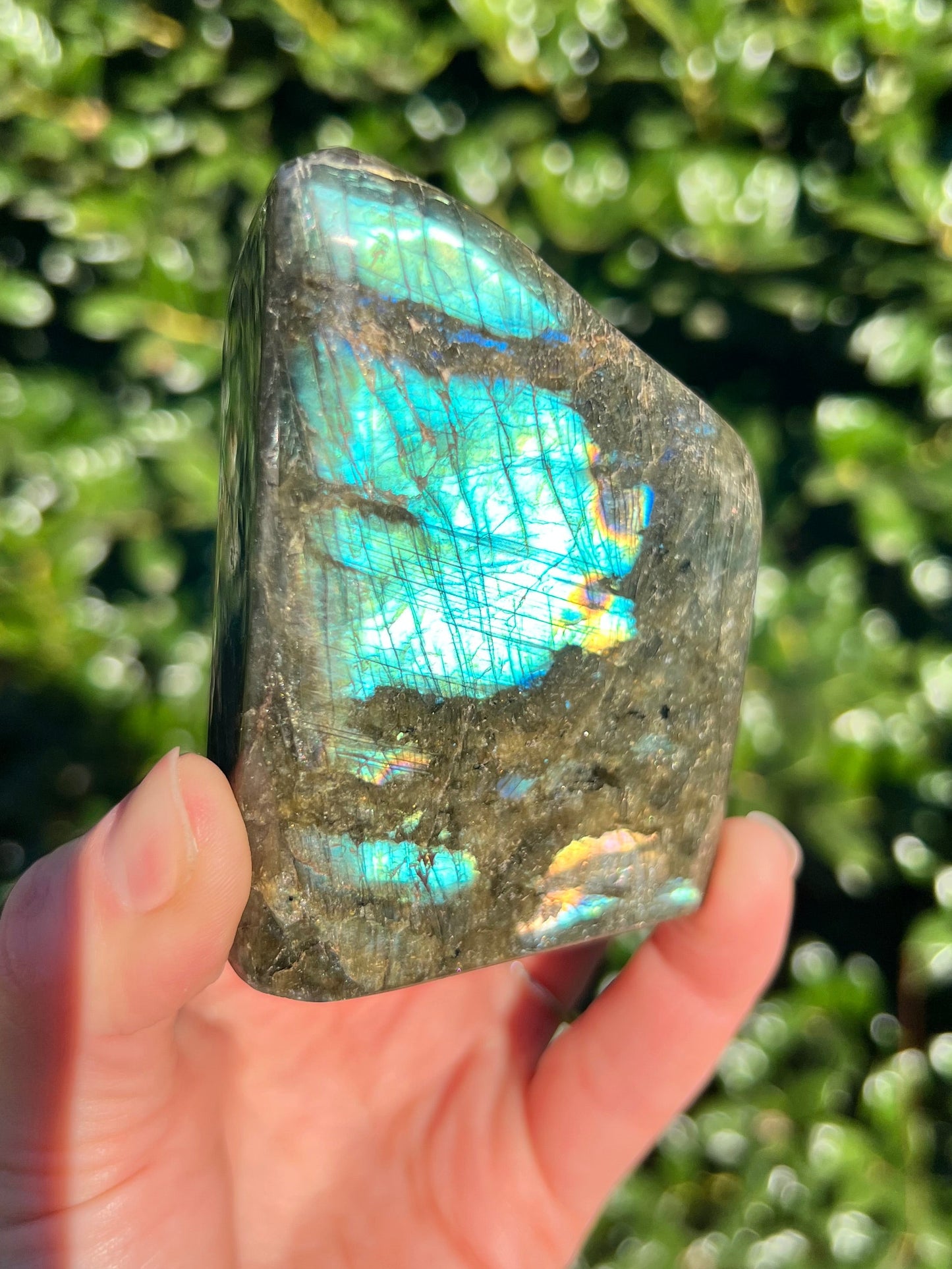 Labradorite Cut Bases