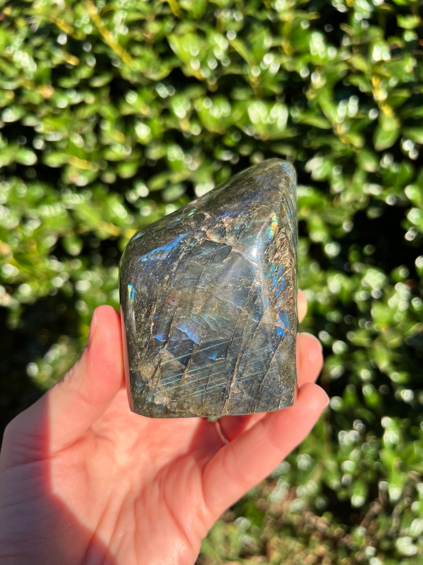 Labradorite Cut Bases