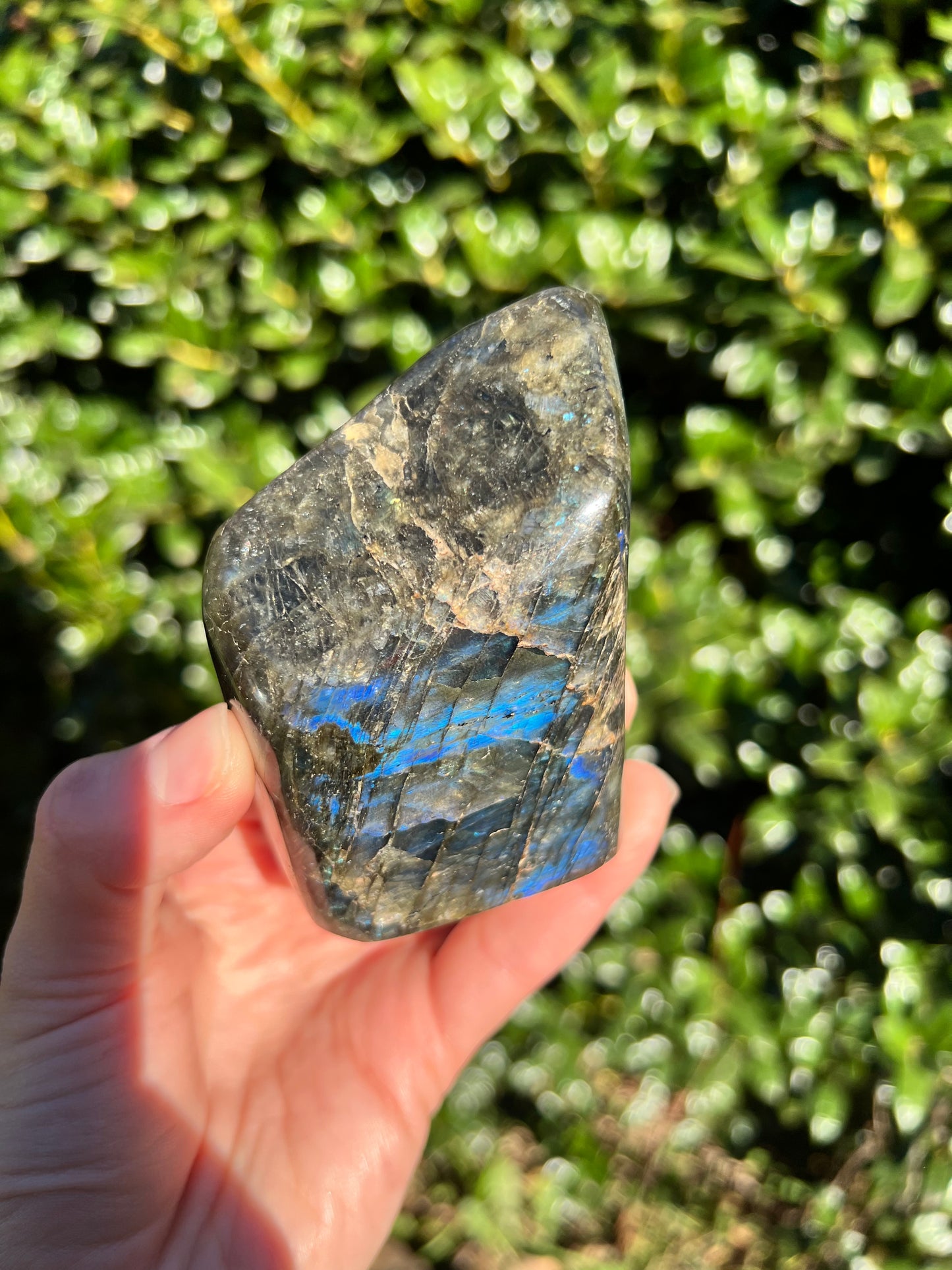 Labradorite Cut Bases