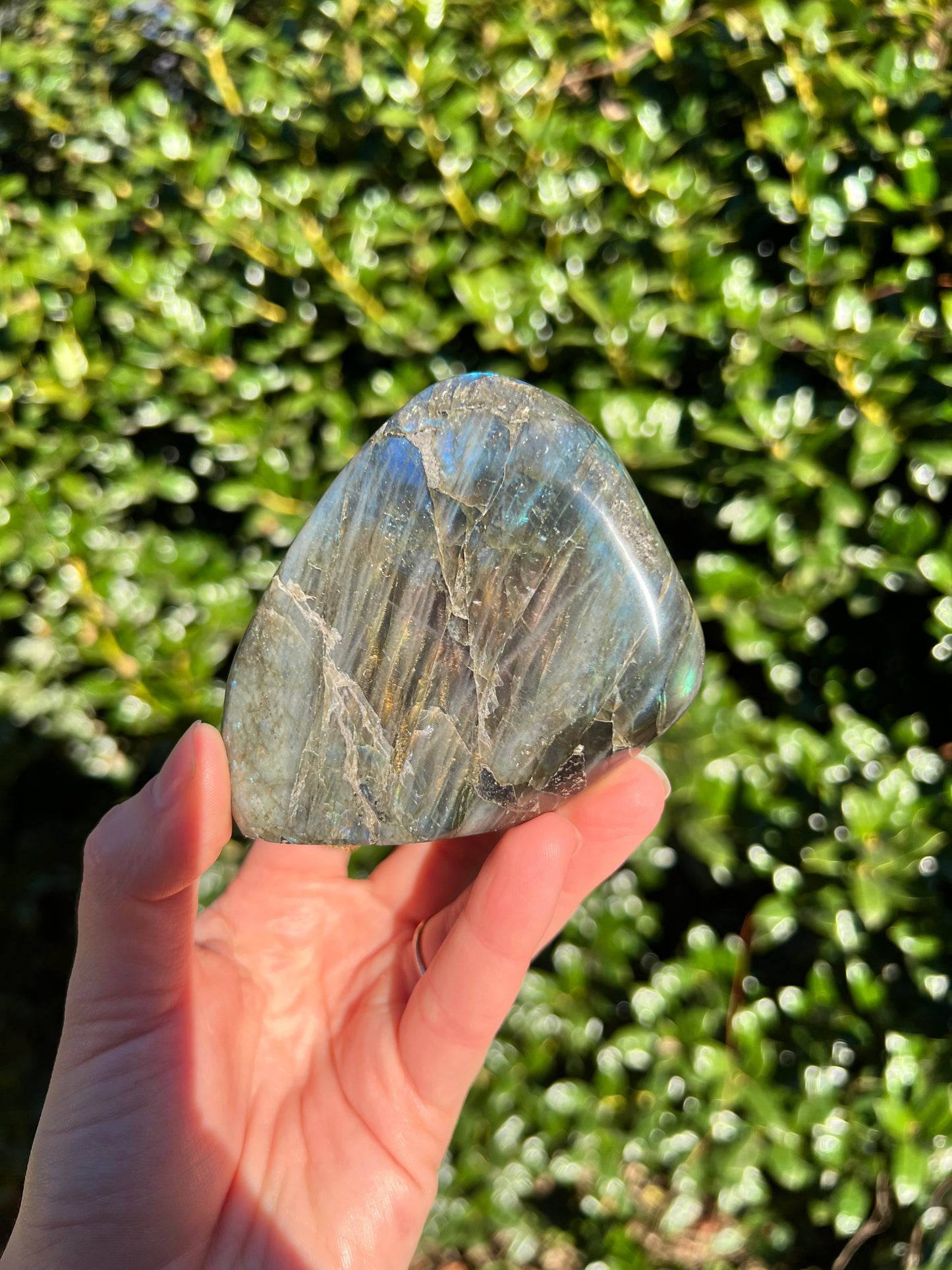 Labradorite Cut Bases