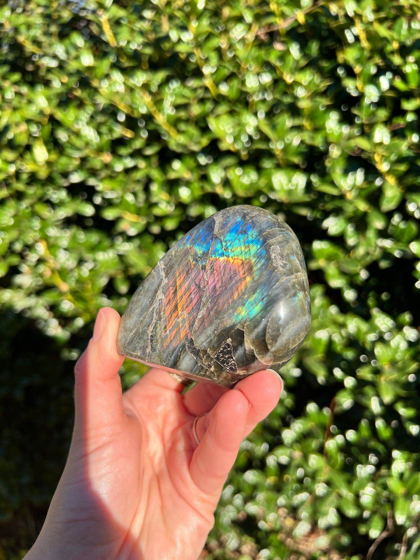 Labradorite Cut Bases