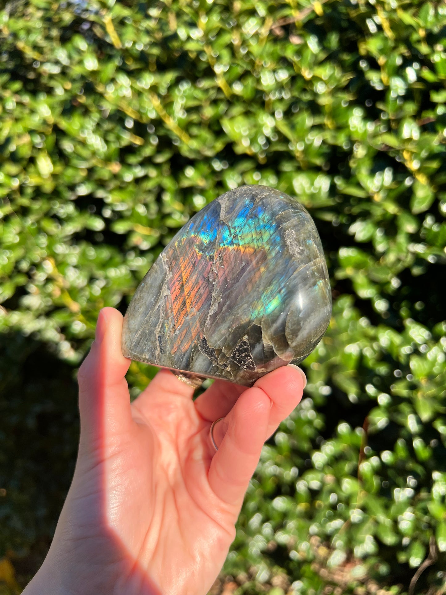 Labradorite Cut Bases