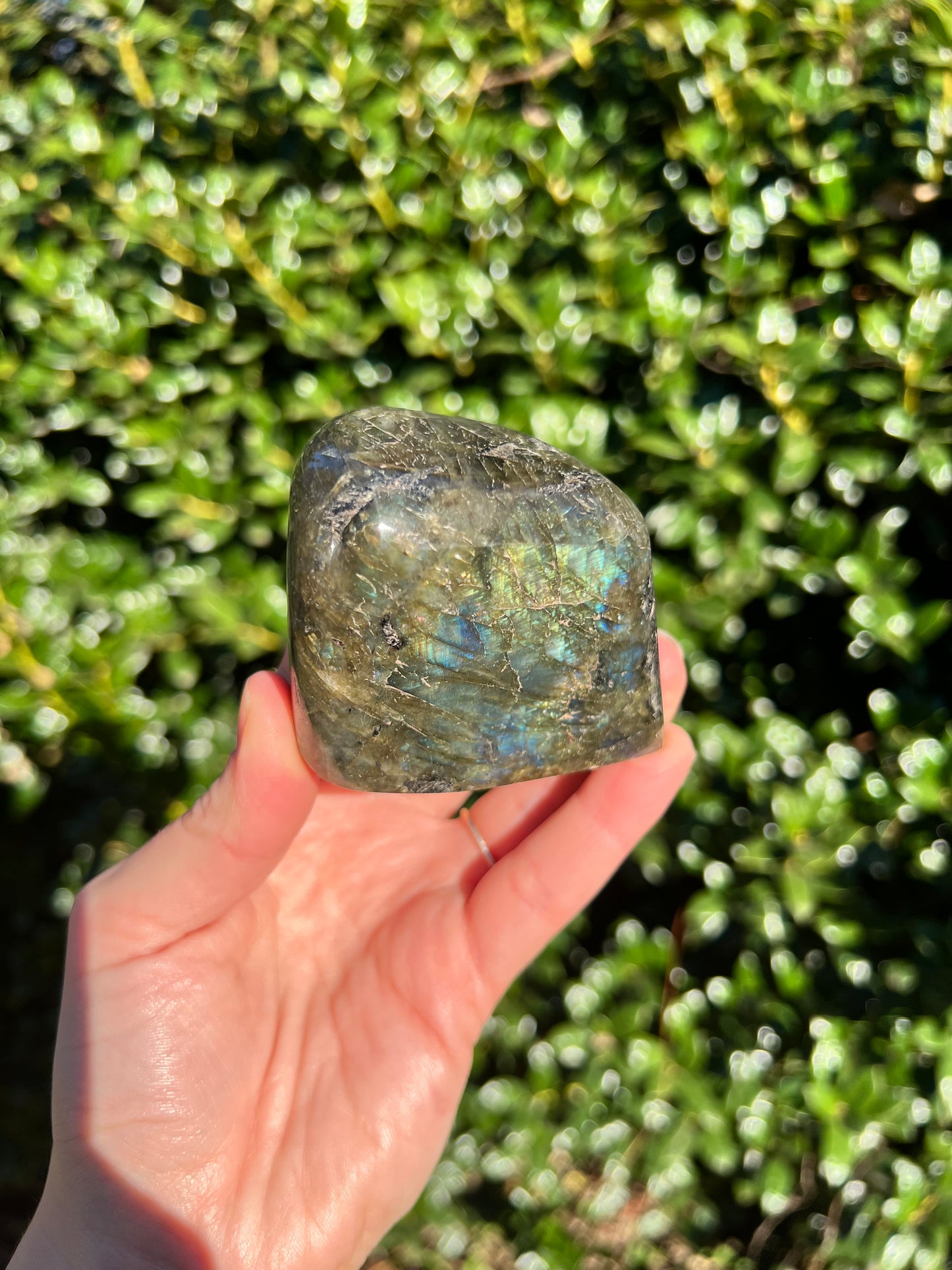 Labradorite Cut Bases