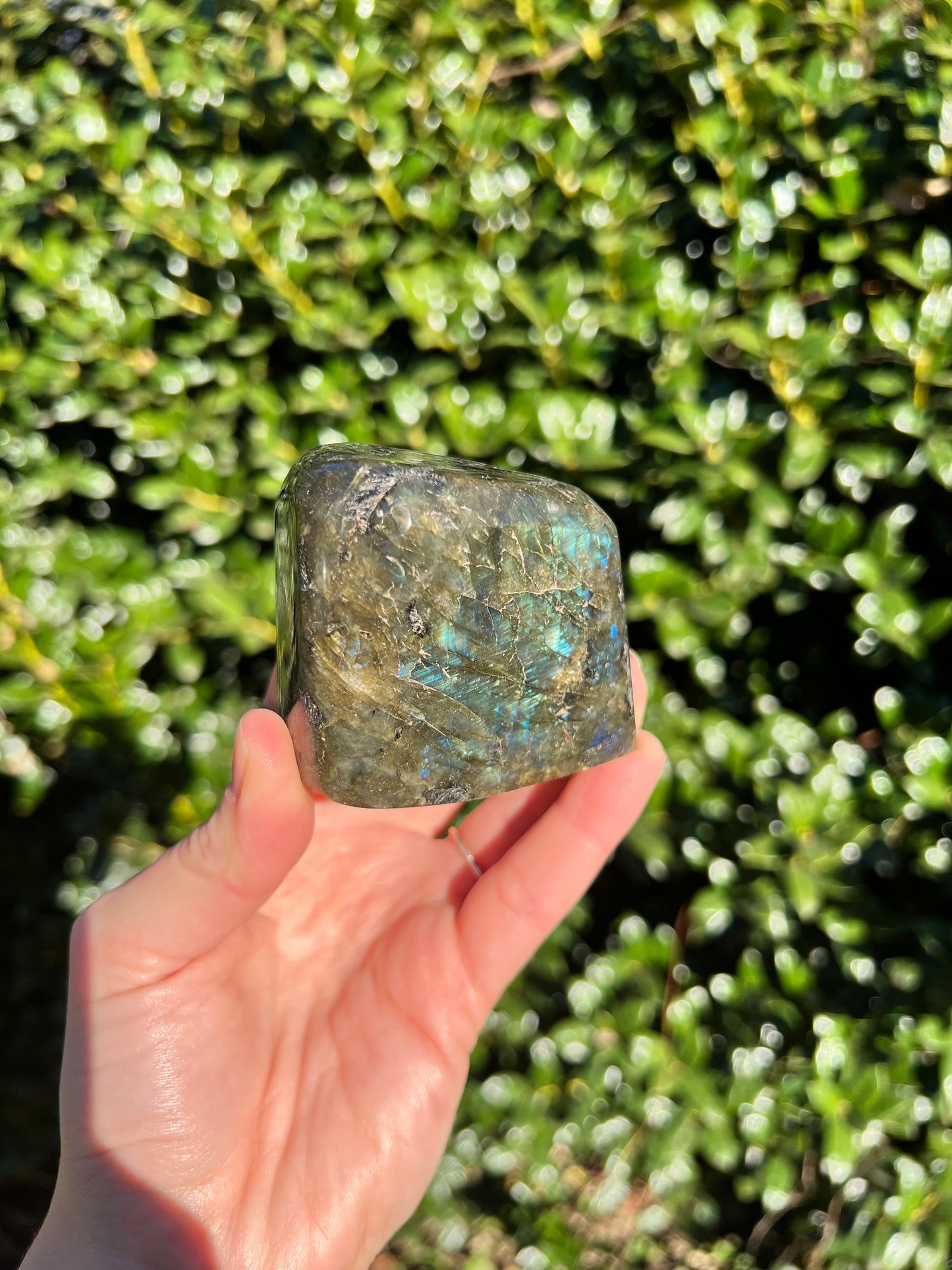 Labradorite Cut Bases