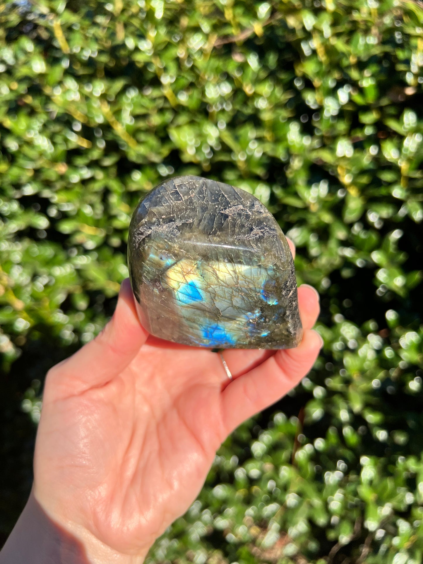 Labradorite Cut Bases