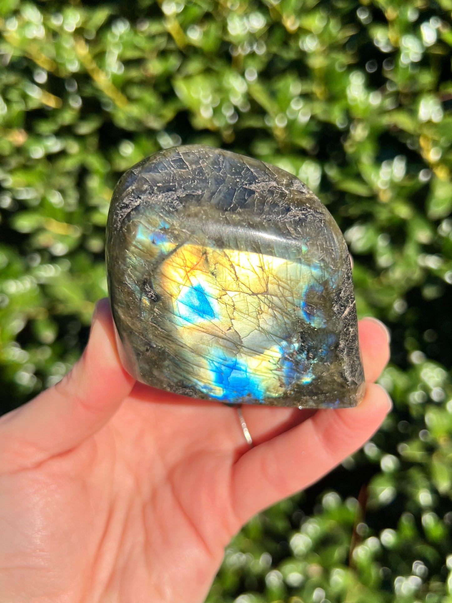 Labradorite Cut Bases