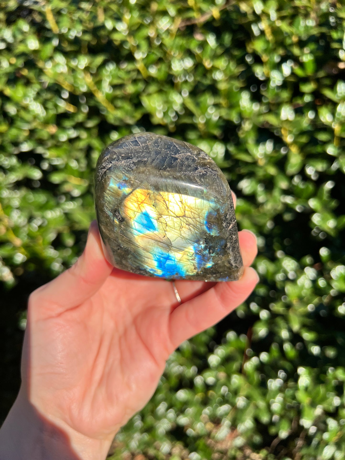 Labradorite Cut Bases