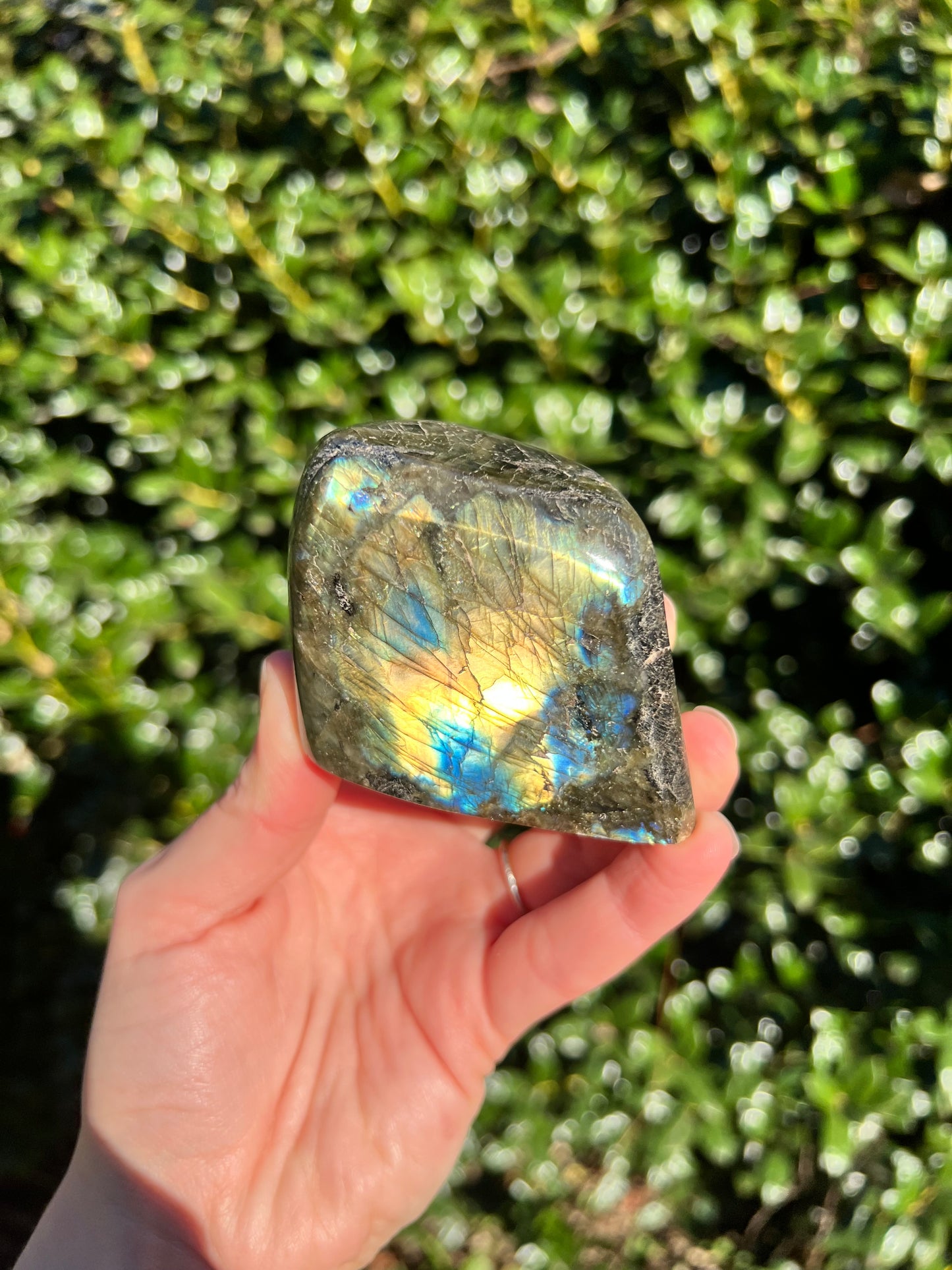 Labradorite Cut Bases
