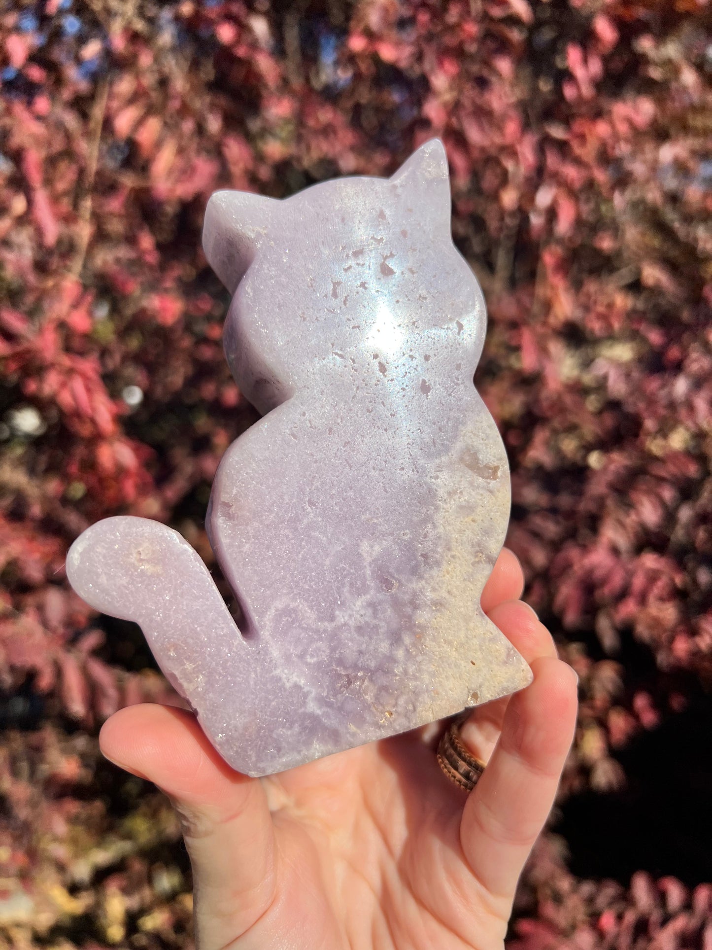 Pink Amethyst Cats