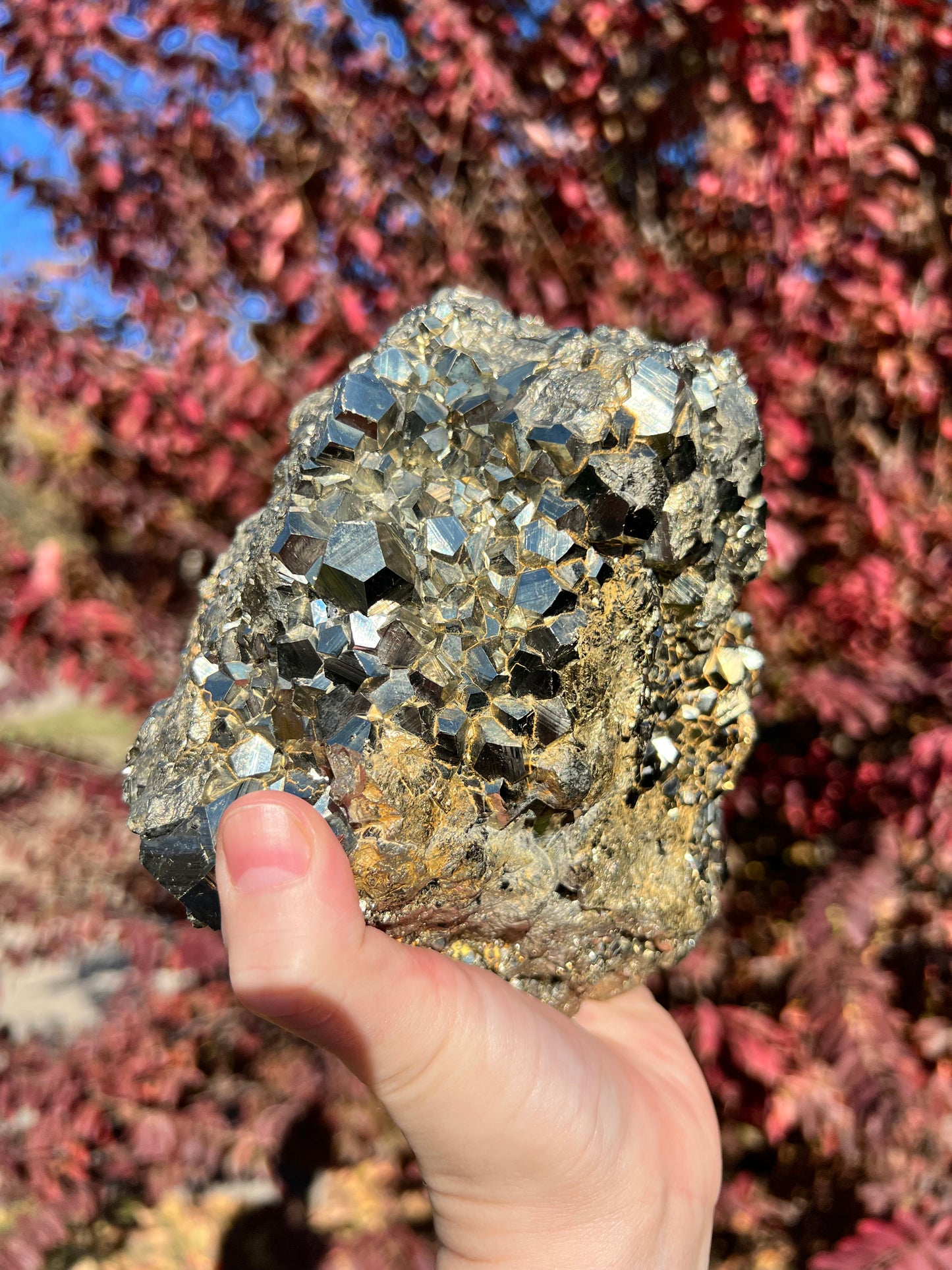 Pyrite Freeforms