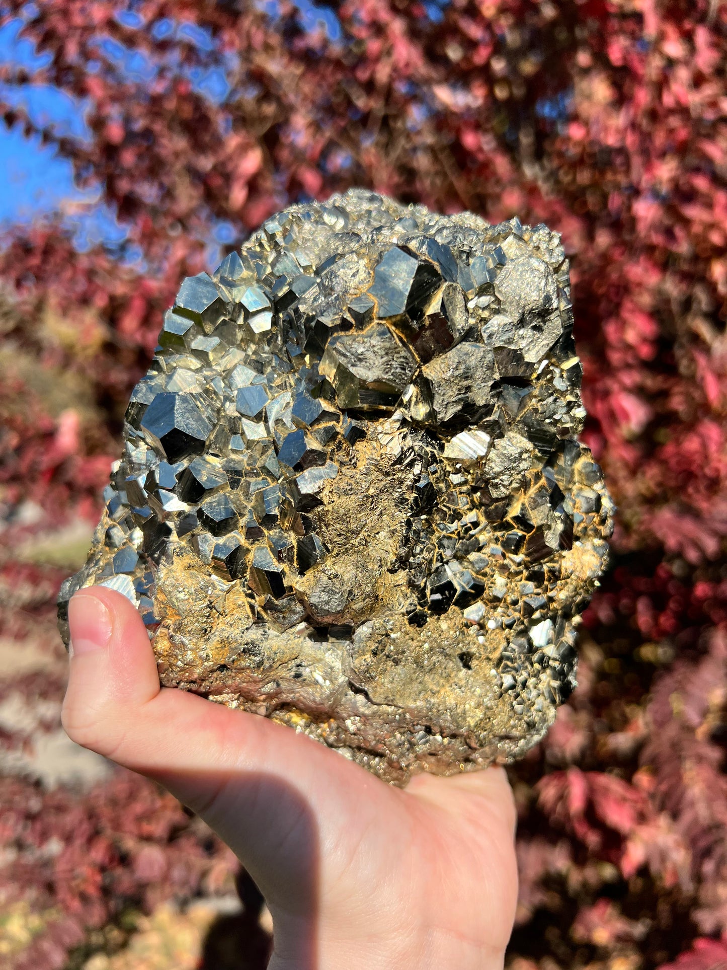 Pyrite Freeforms