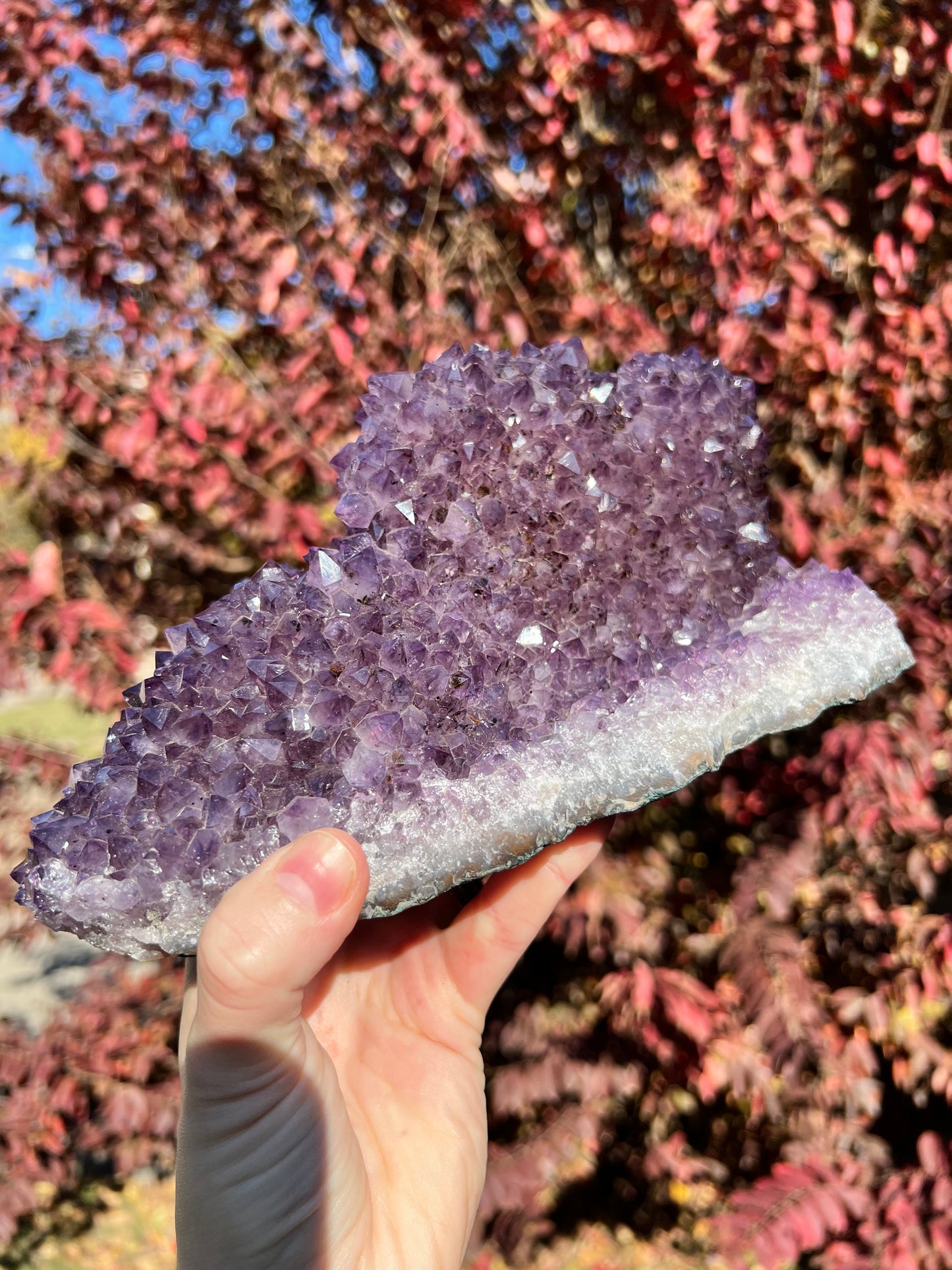 Amethyst Cluster