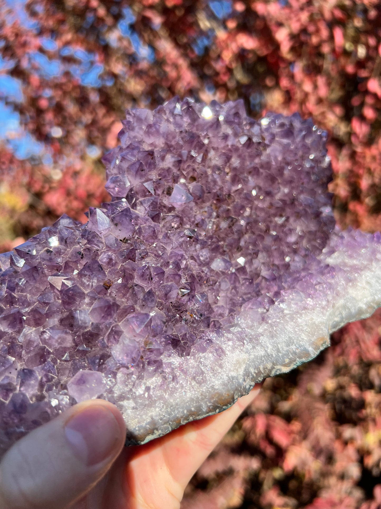 Amethyst Cluster