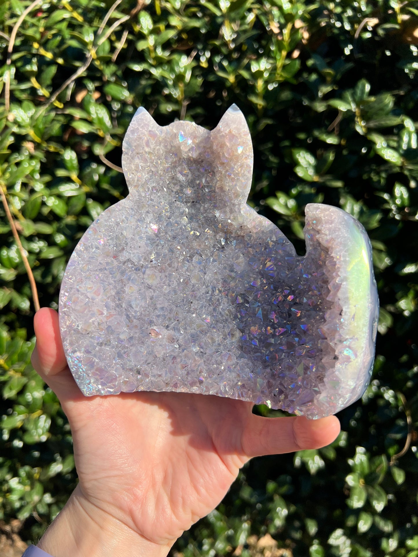 Angel Aura Amethyst Cats