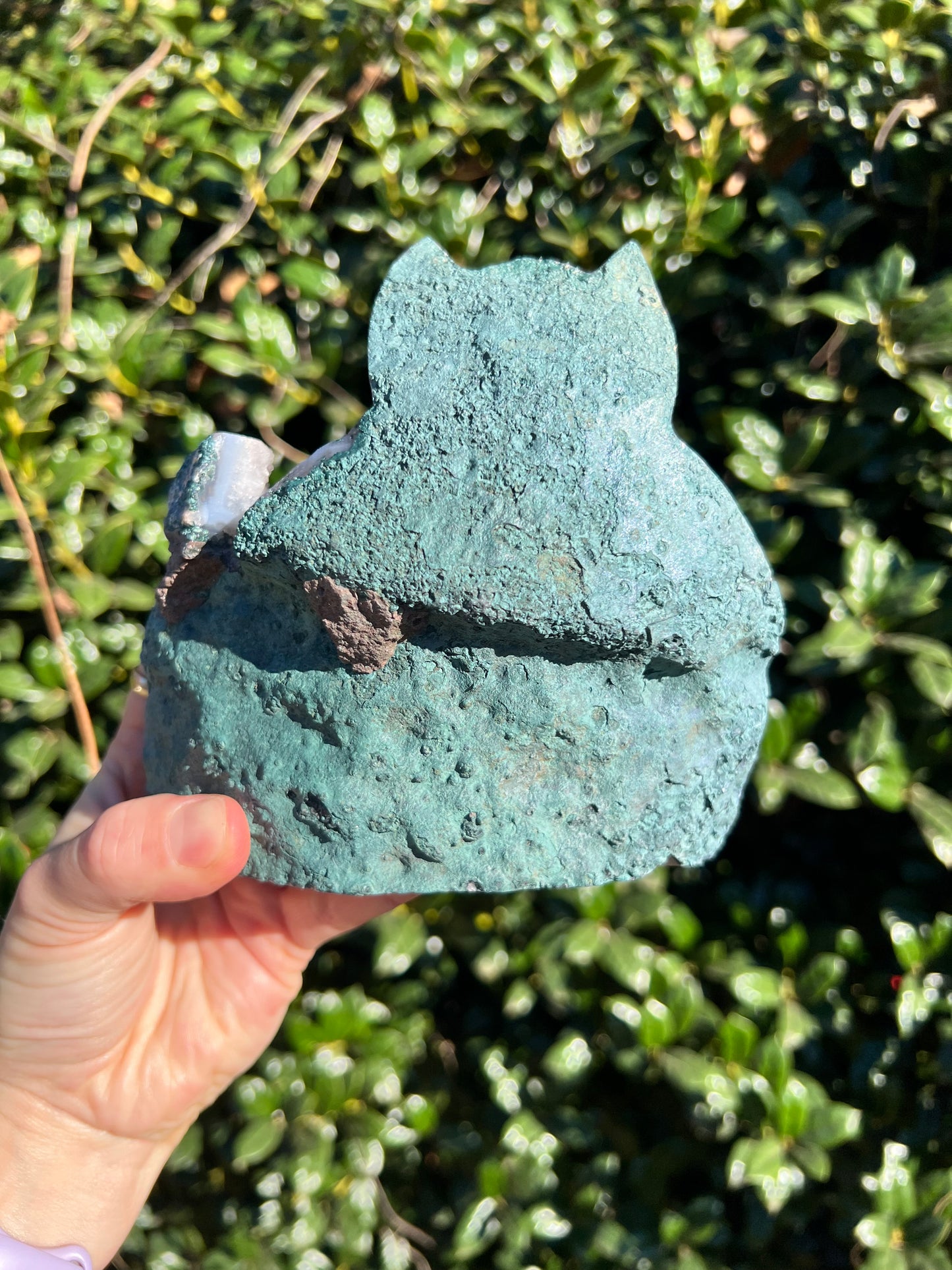 Angel Aura Amethyst Cats