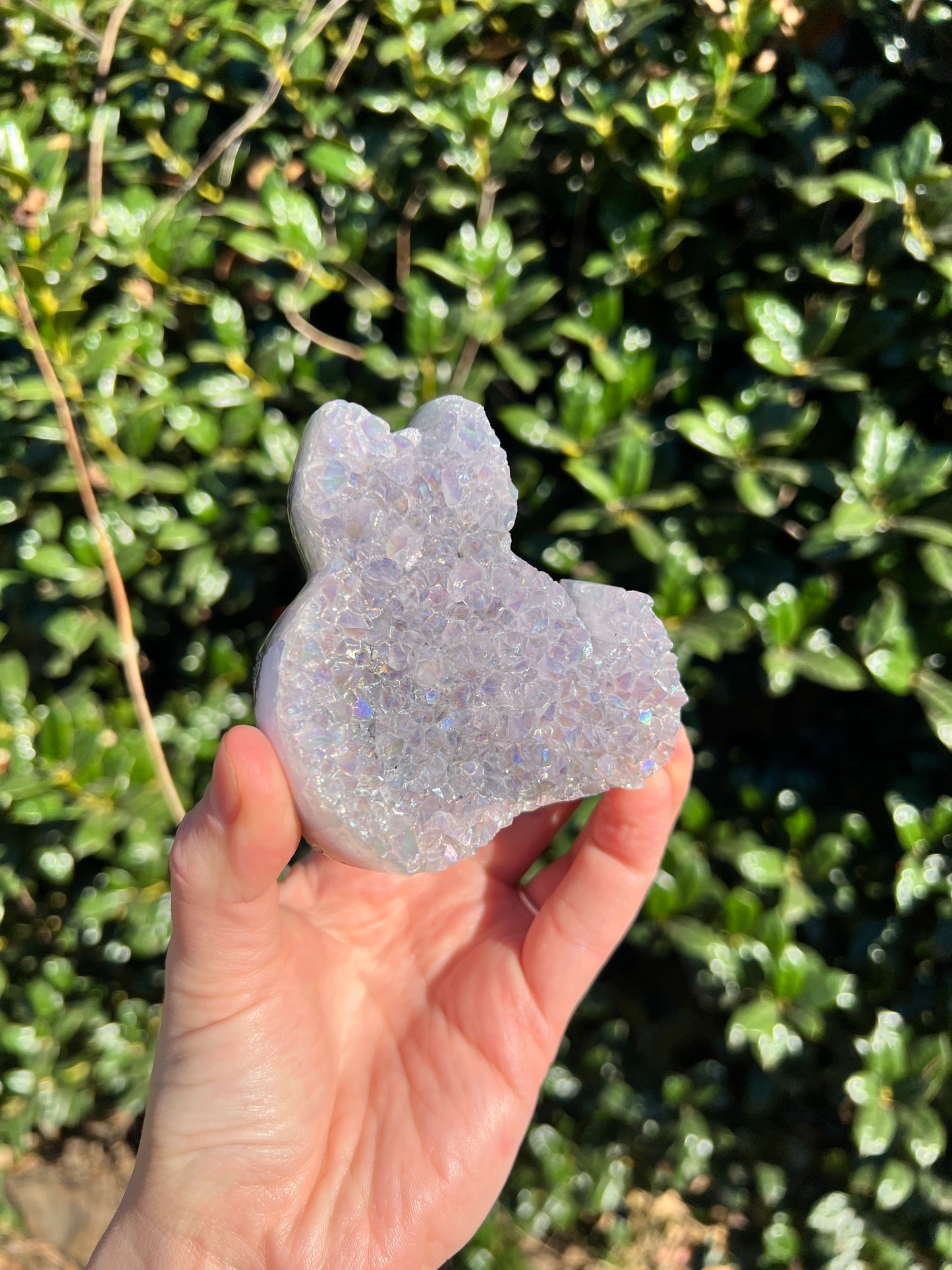 Angel Aura Amethyst Cats