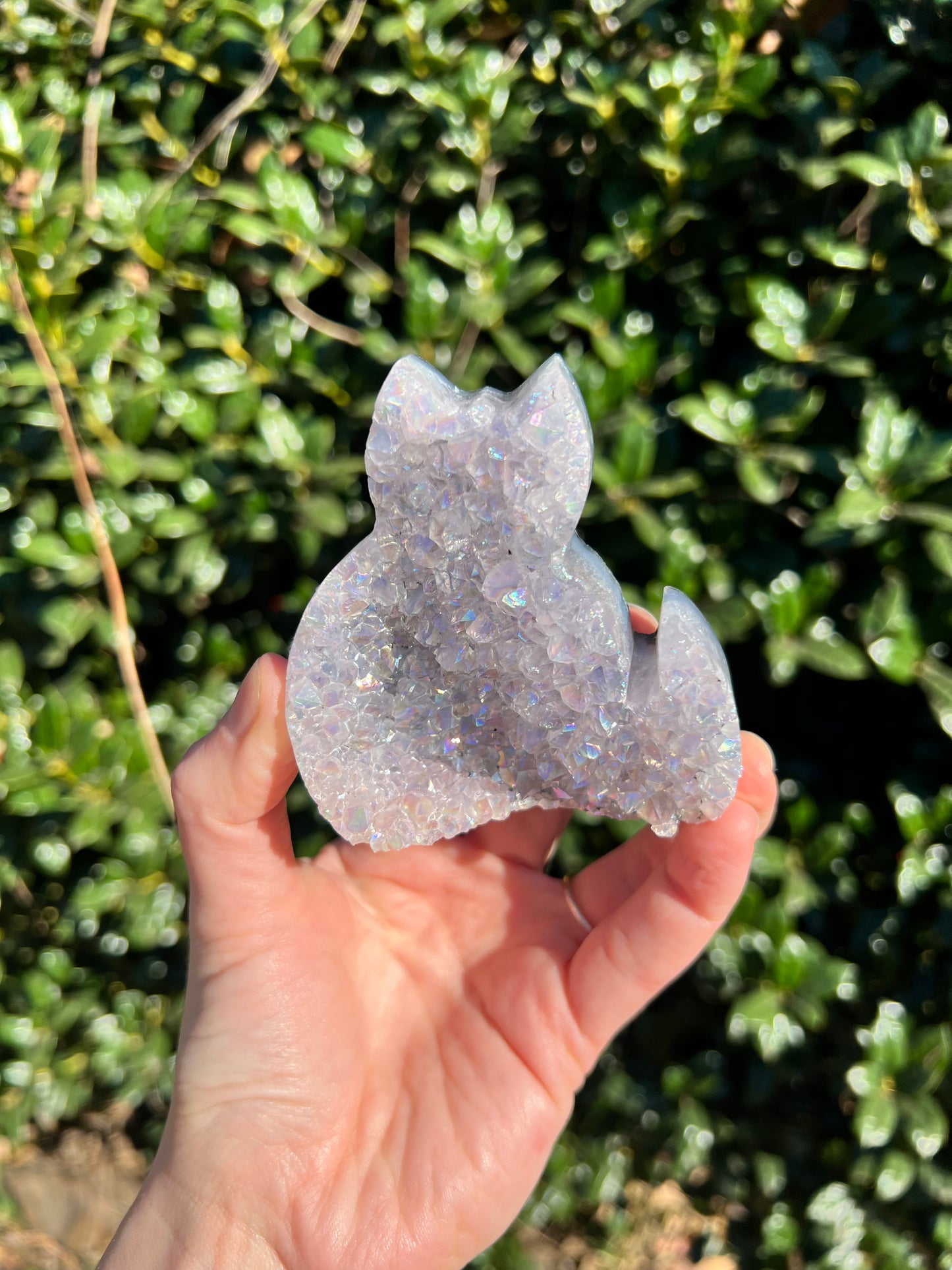 Angel Aura Amethyst Cats