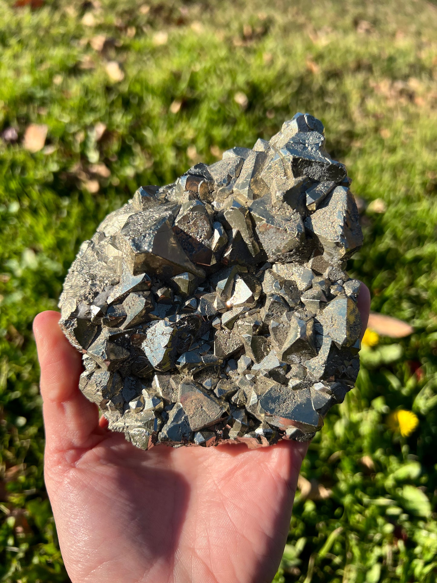 Pyrite Freeforms