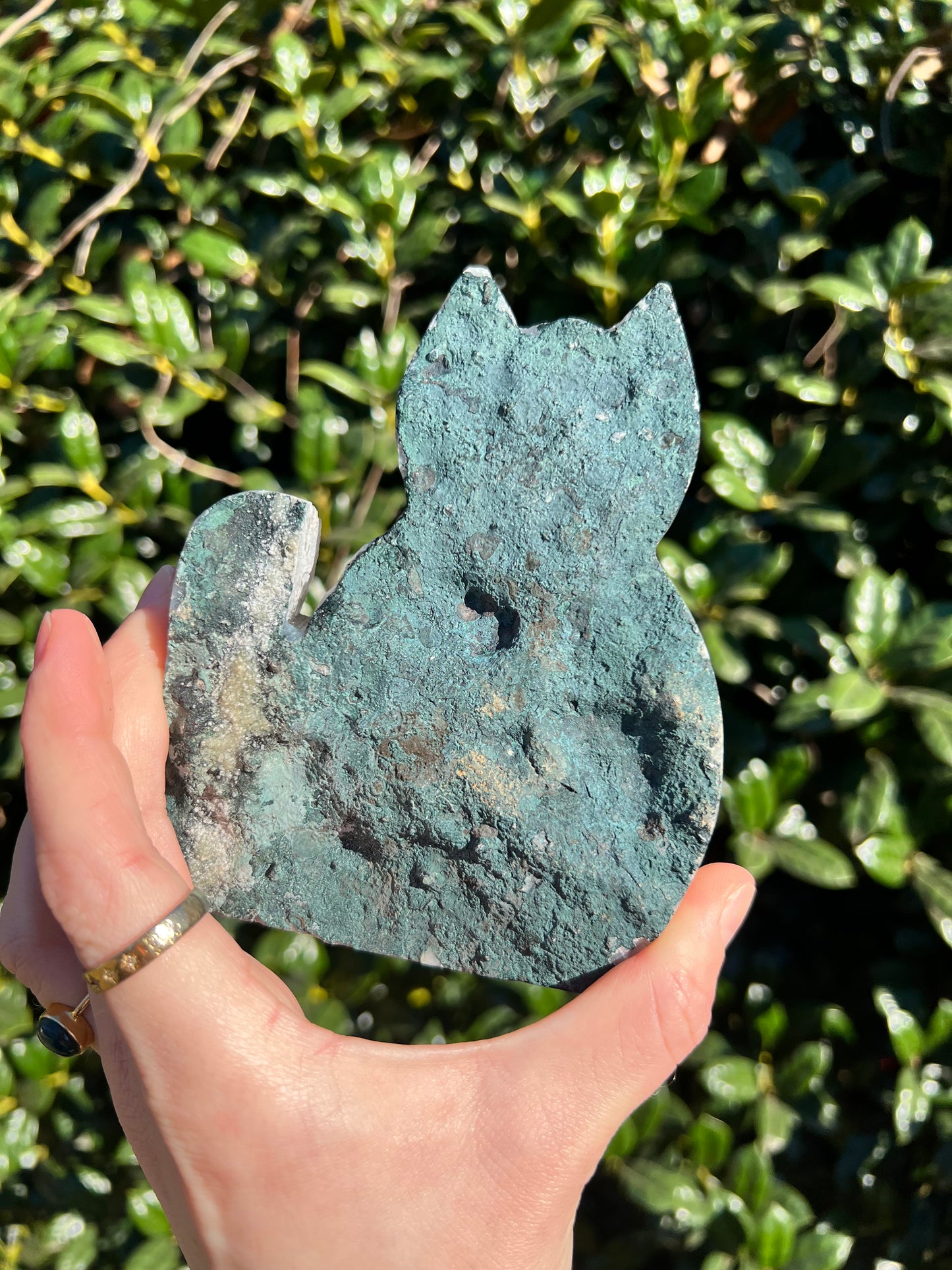 Angel Aura Amethyst Cats