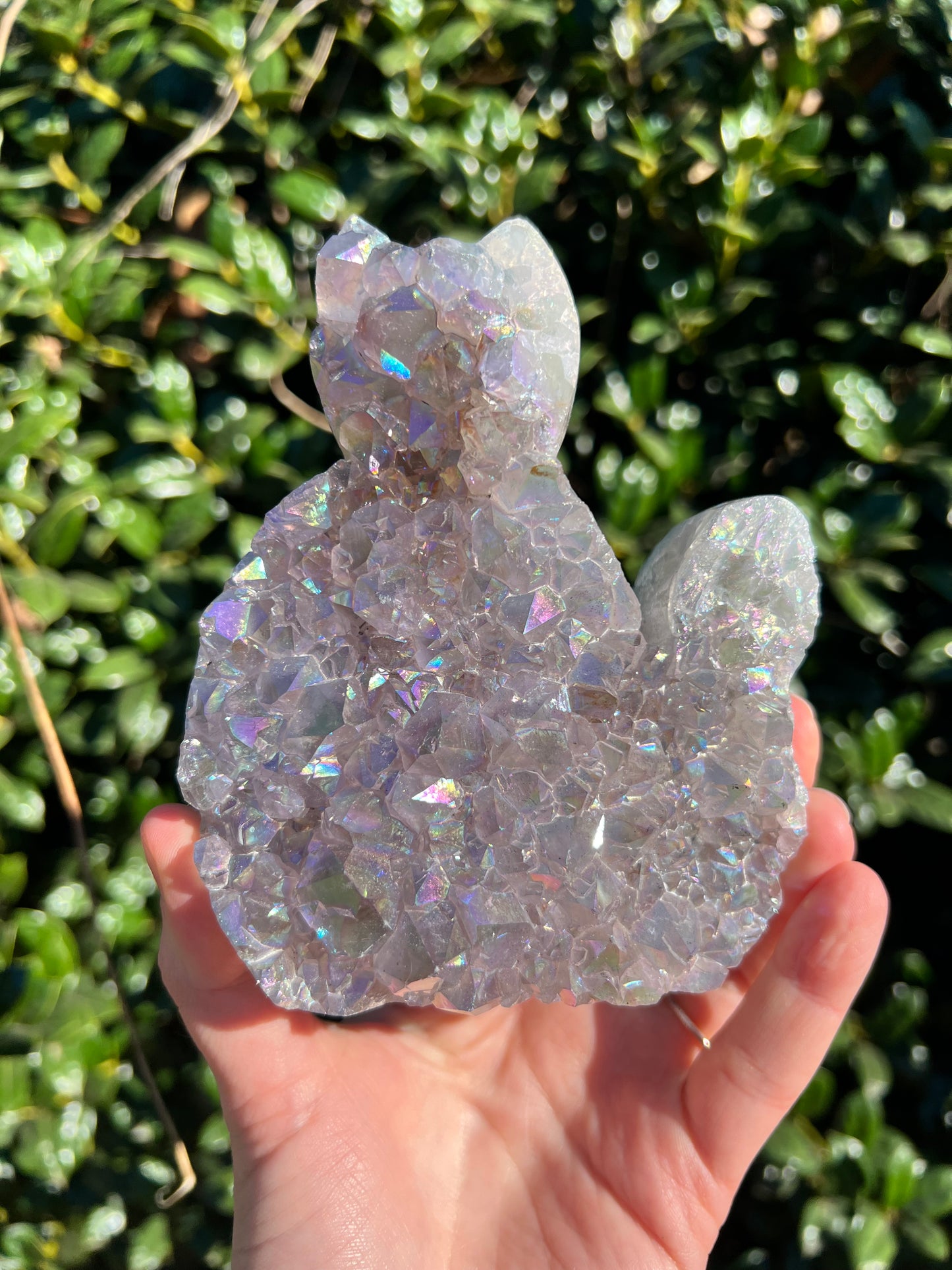 Angel Aura Amethyst Cats