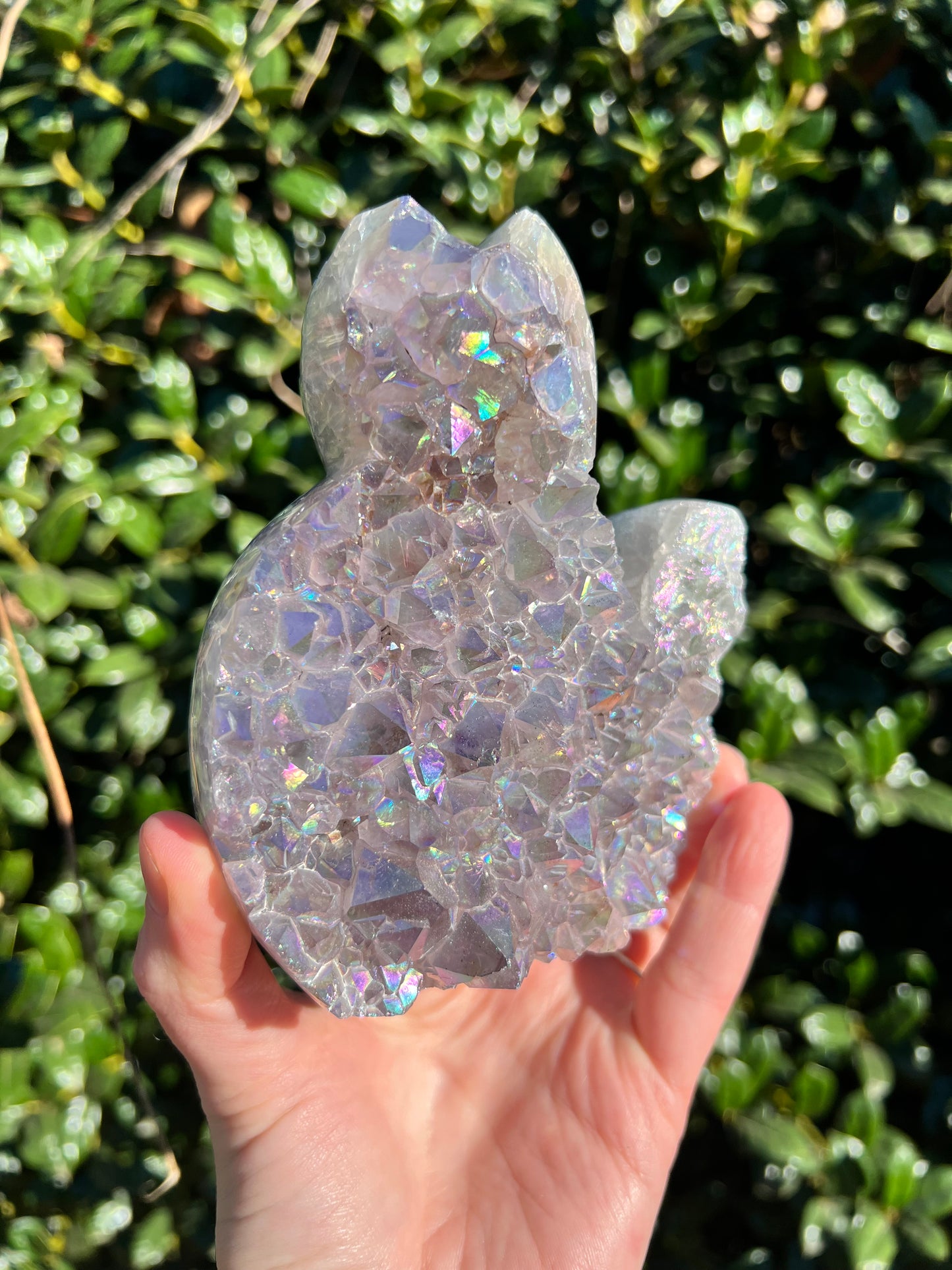 Angel Aura Amethyst Cats
