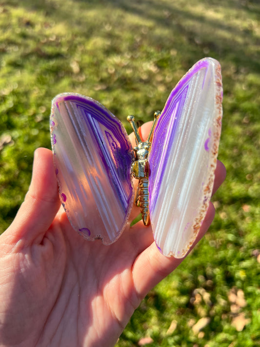 Agate Butterflies