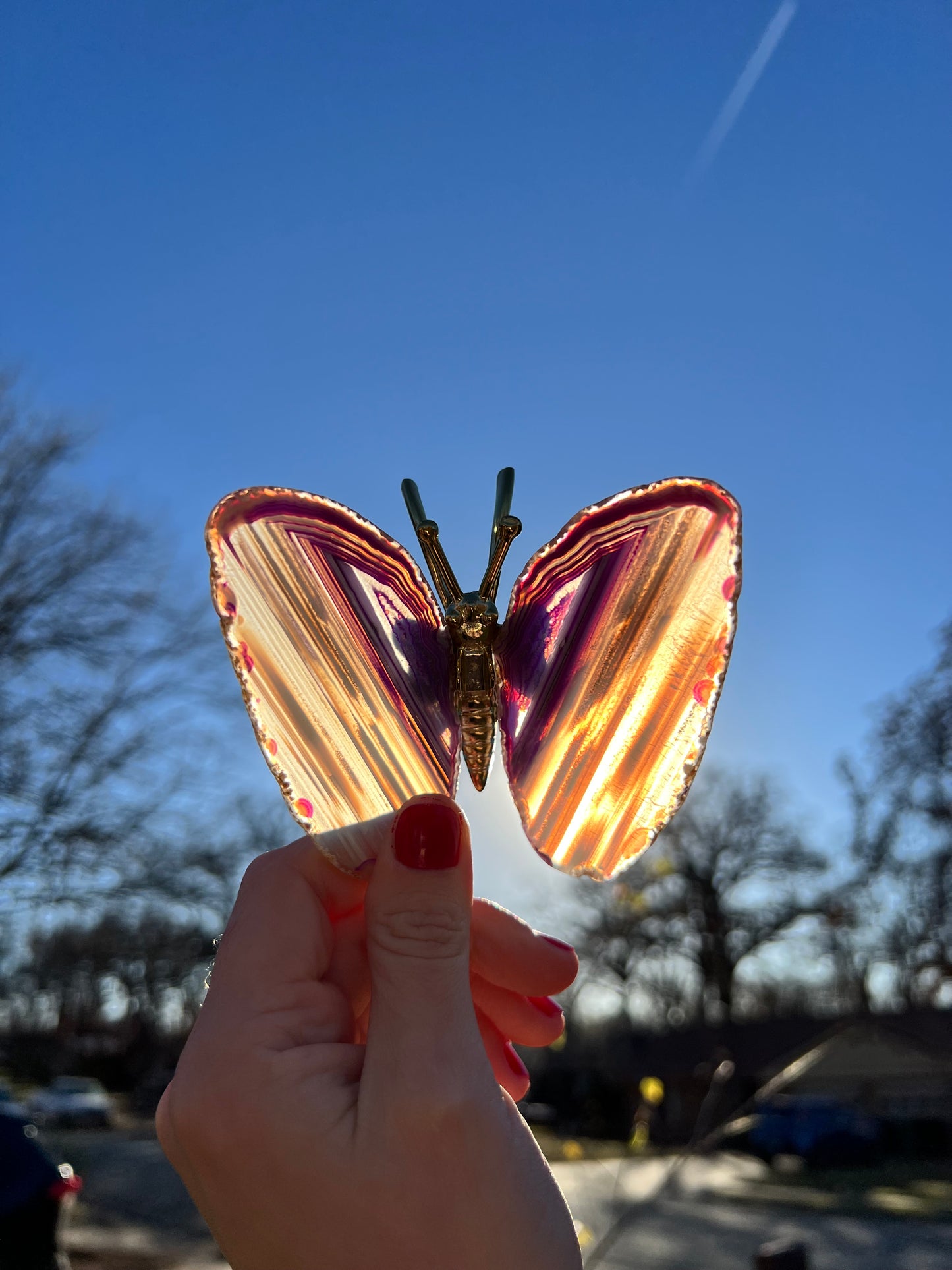 Agate Butterflies