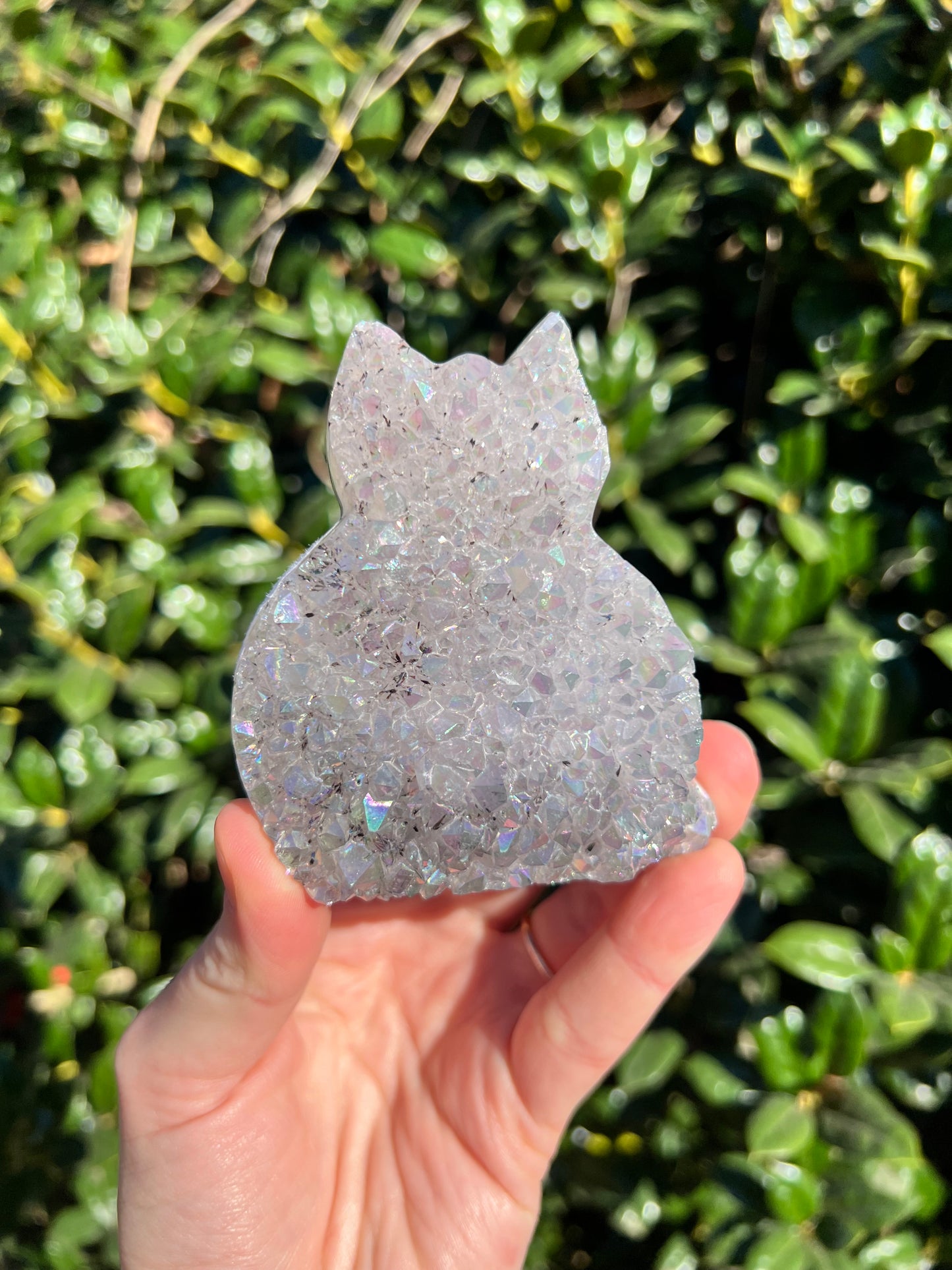Angel Aura Amethyst Cats
