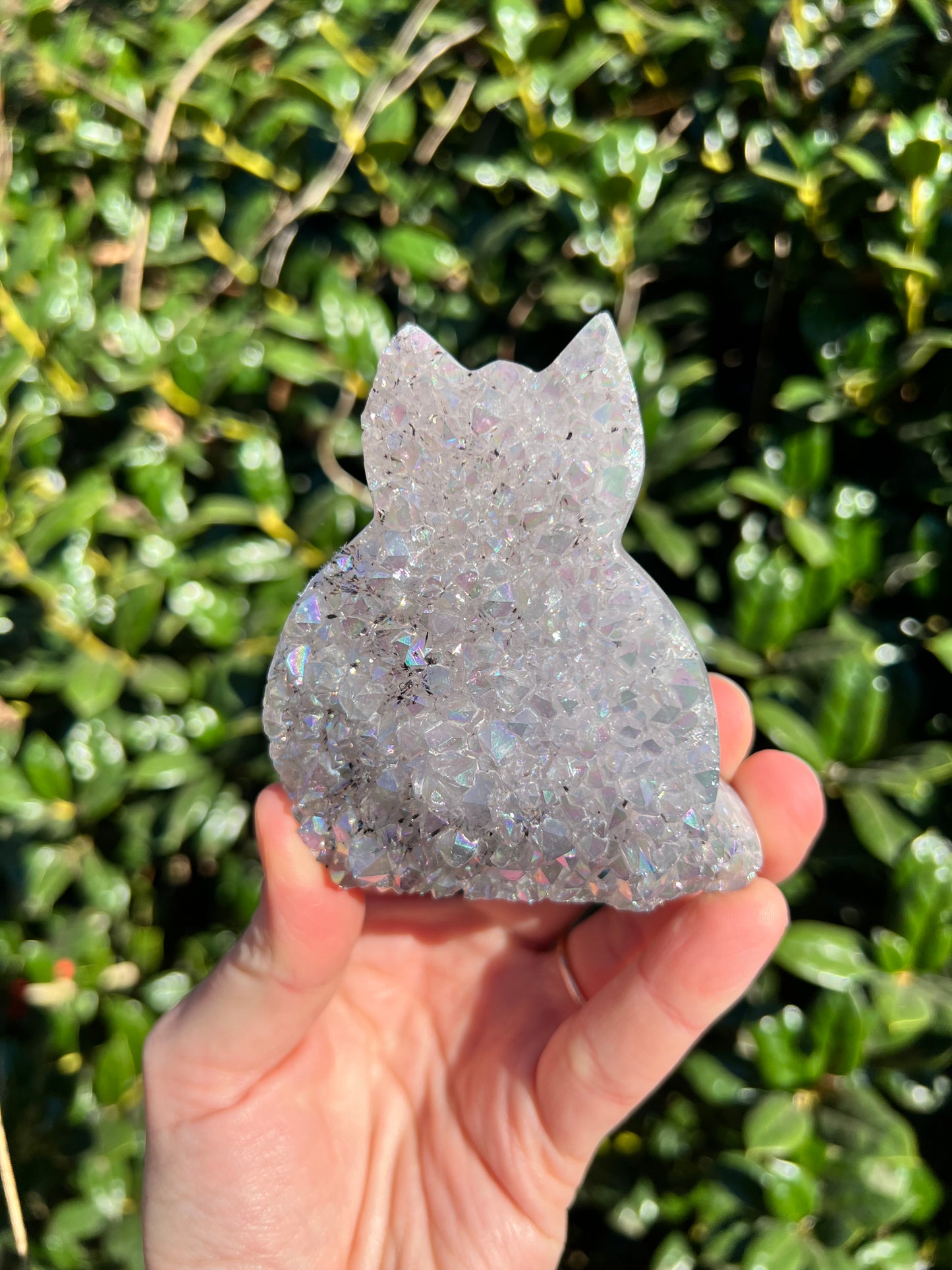Angel Aura Amethyst Cats