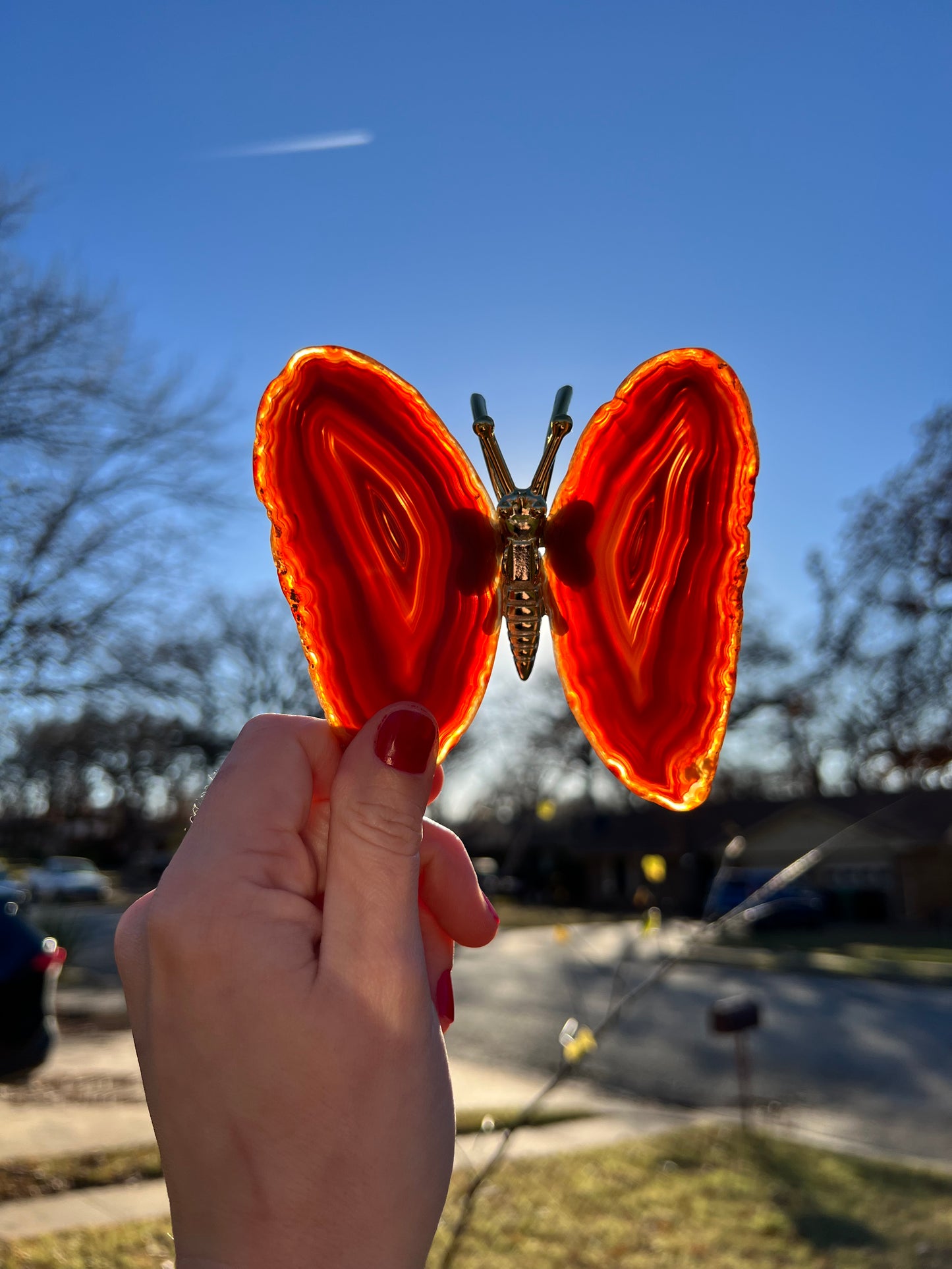 Agate Butterflies