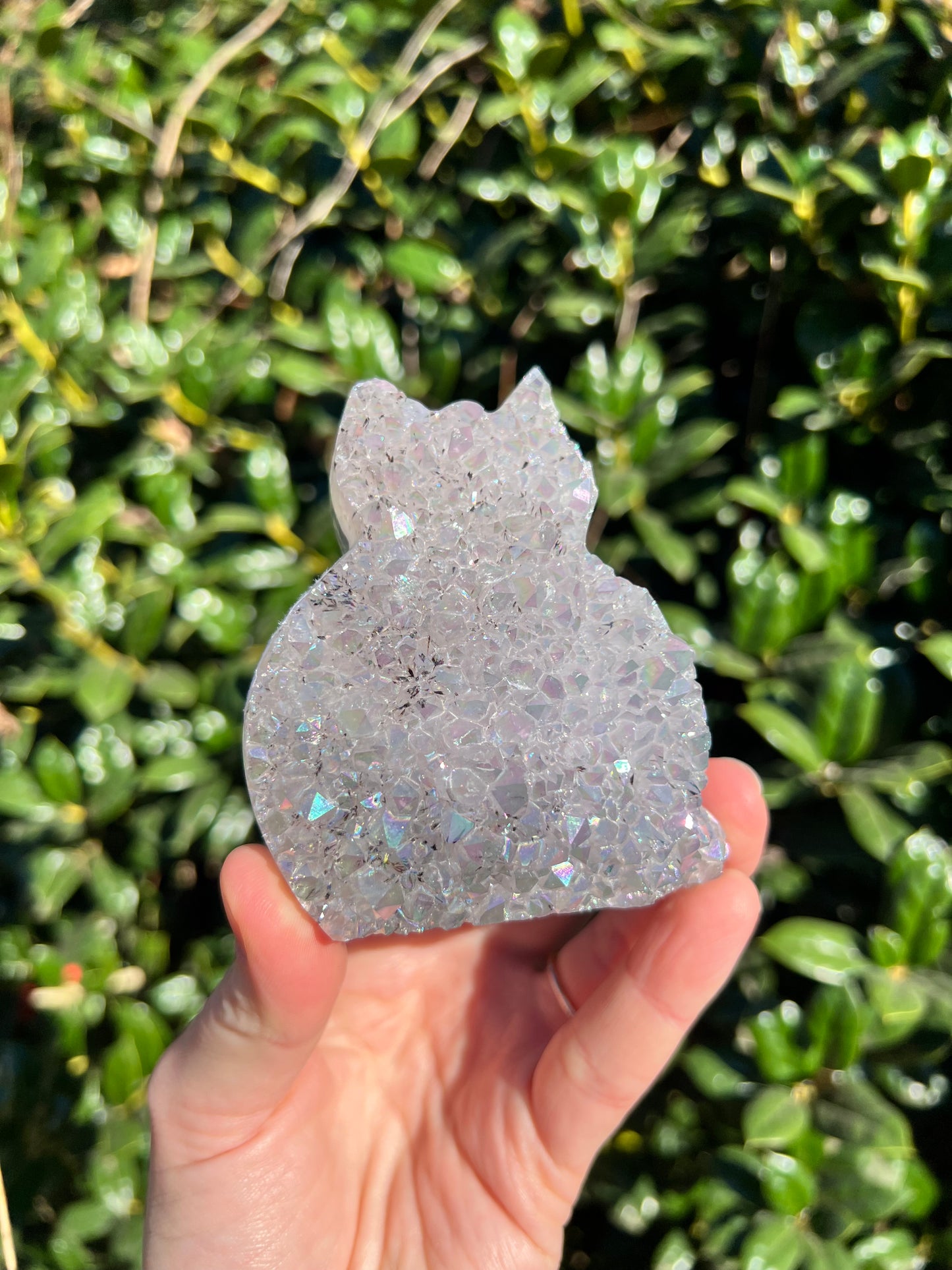 Angel Aura Amethyst Cats