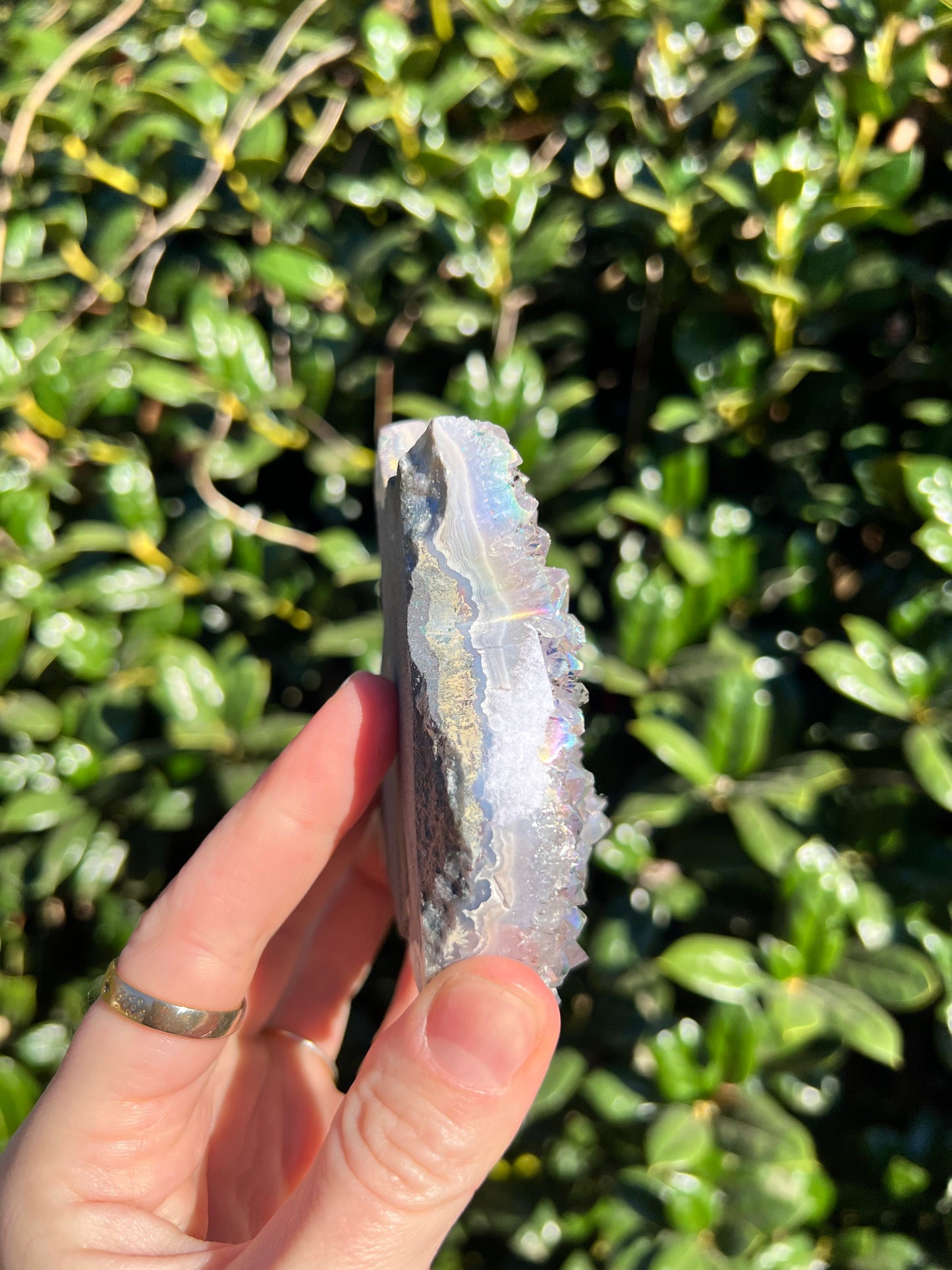 Angel Aura Amethyst Cats