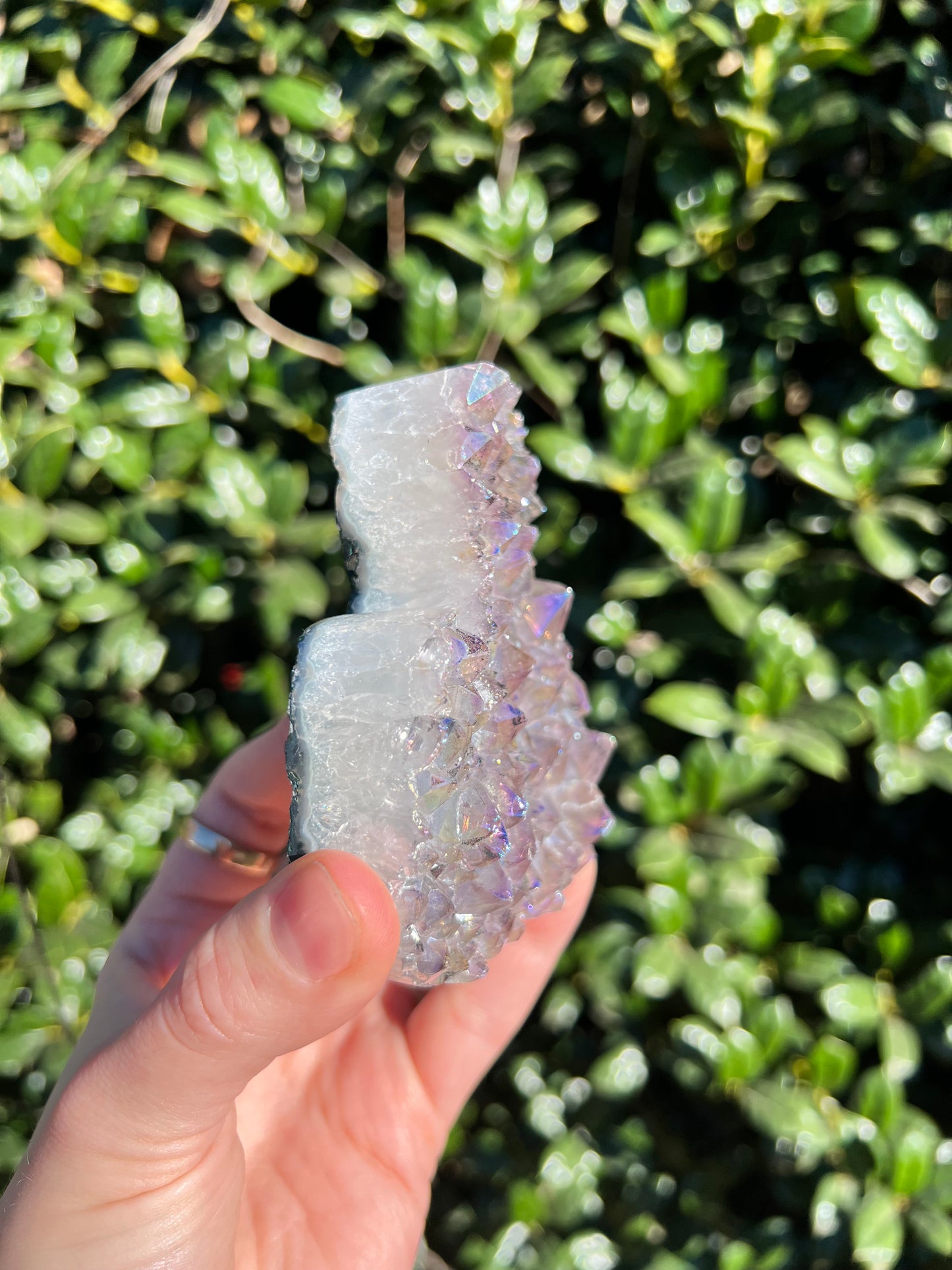 Angel Aura Amethyst Cats