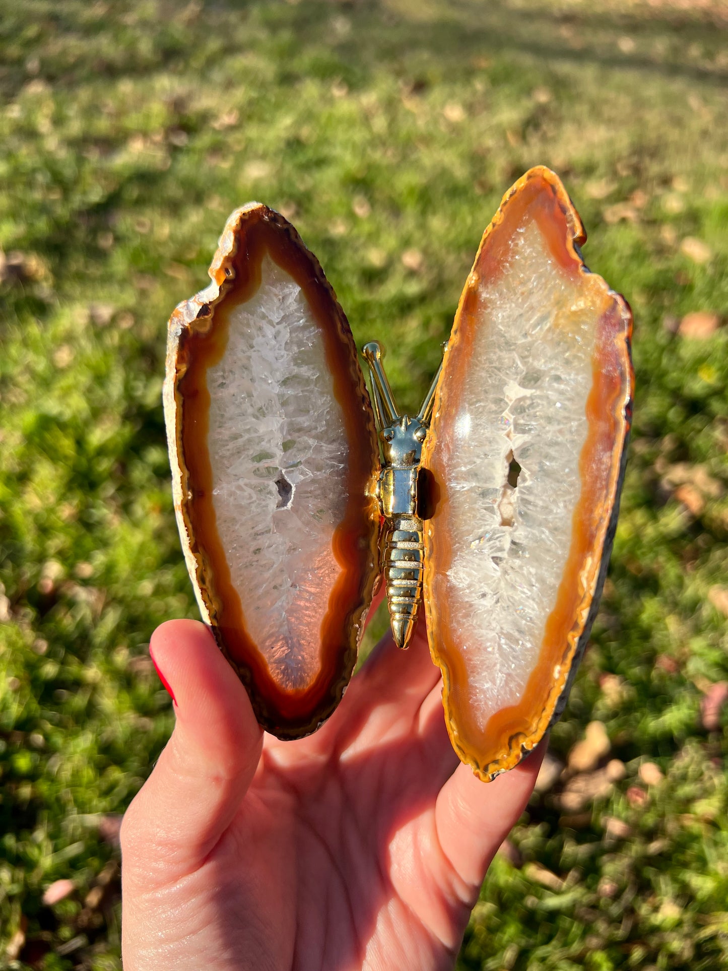 Agate Butterflies