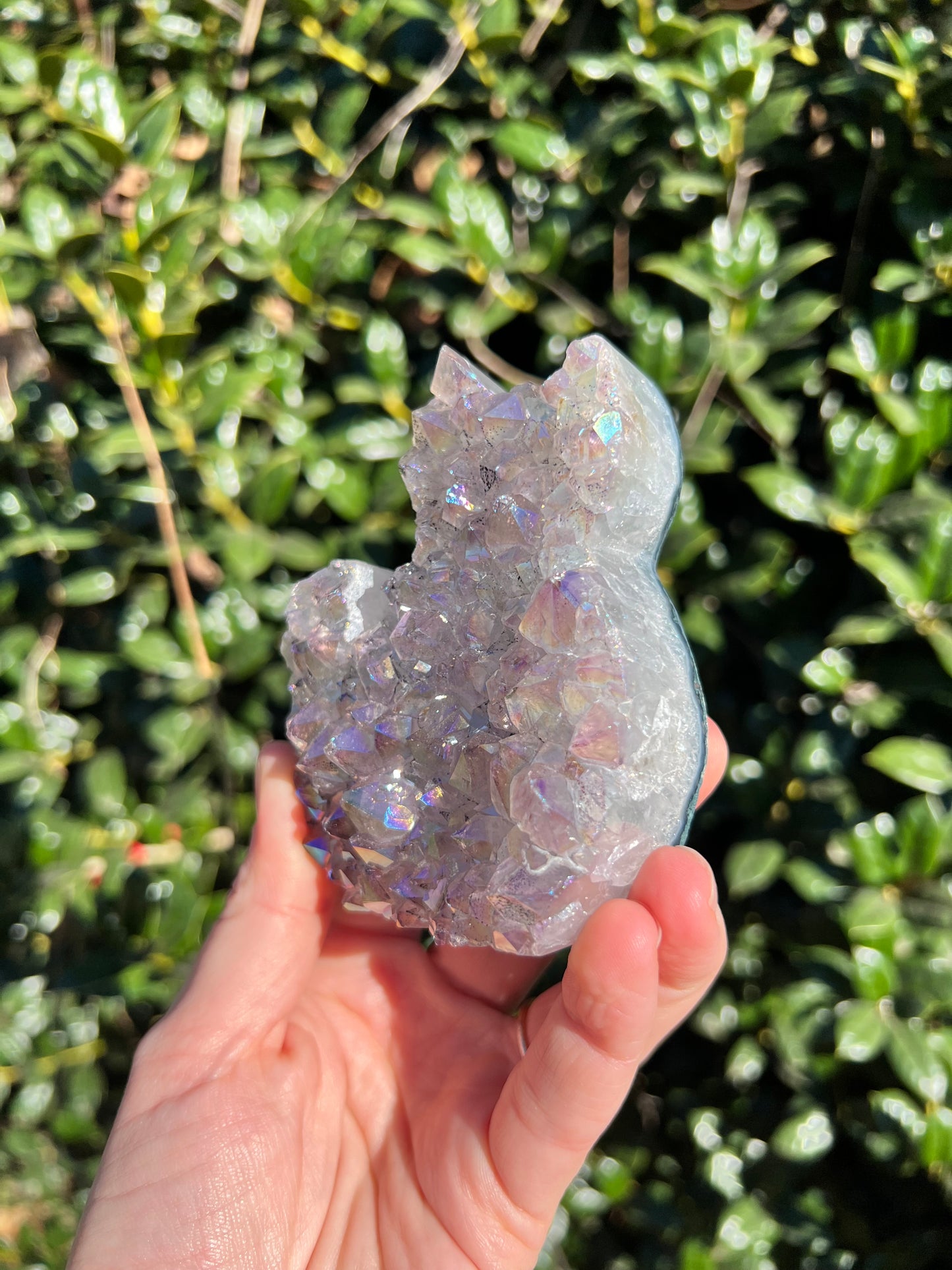 Angel Aura Amethyst Cats