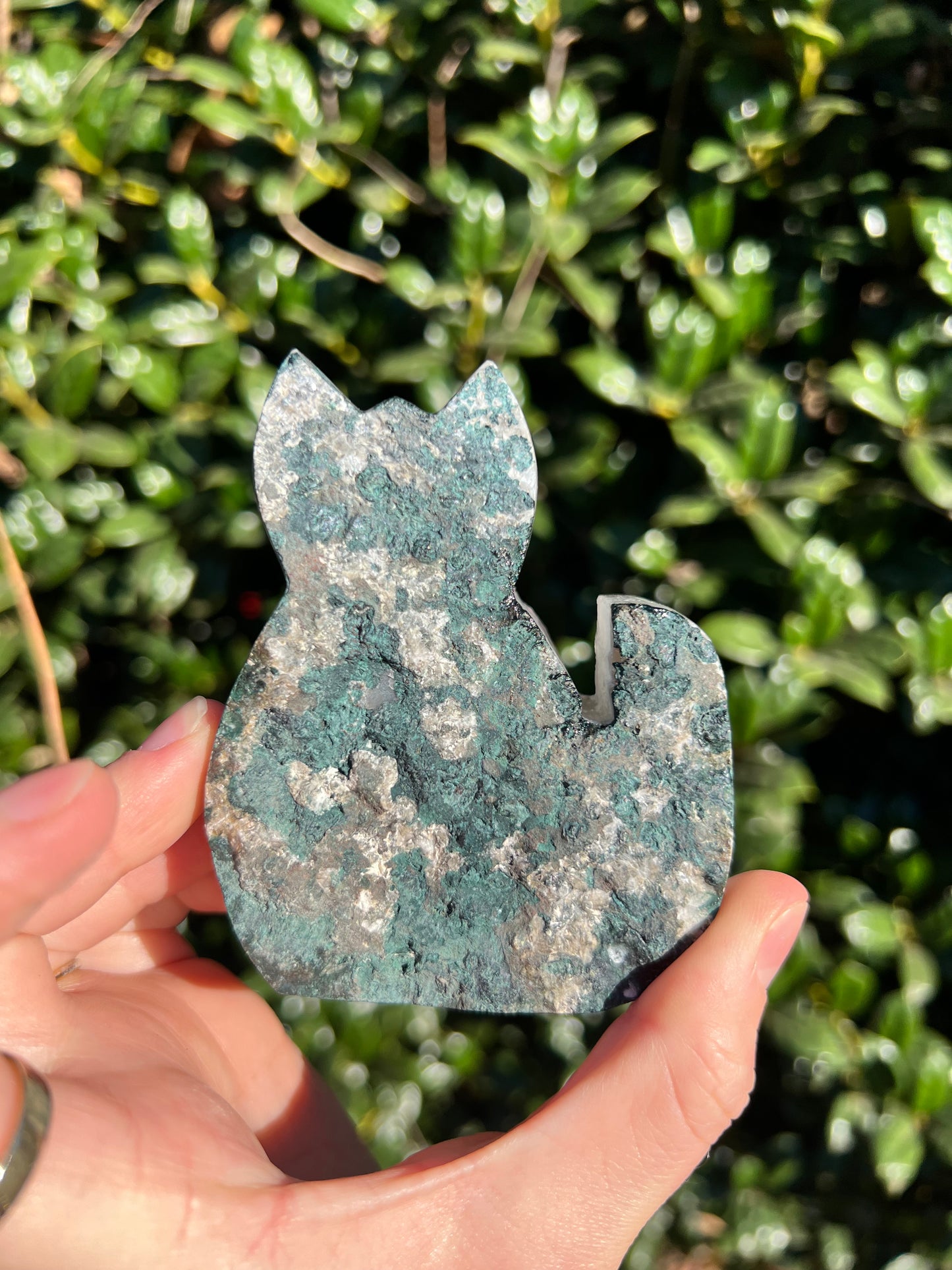 Angel Aura Amethyst Cats