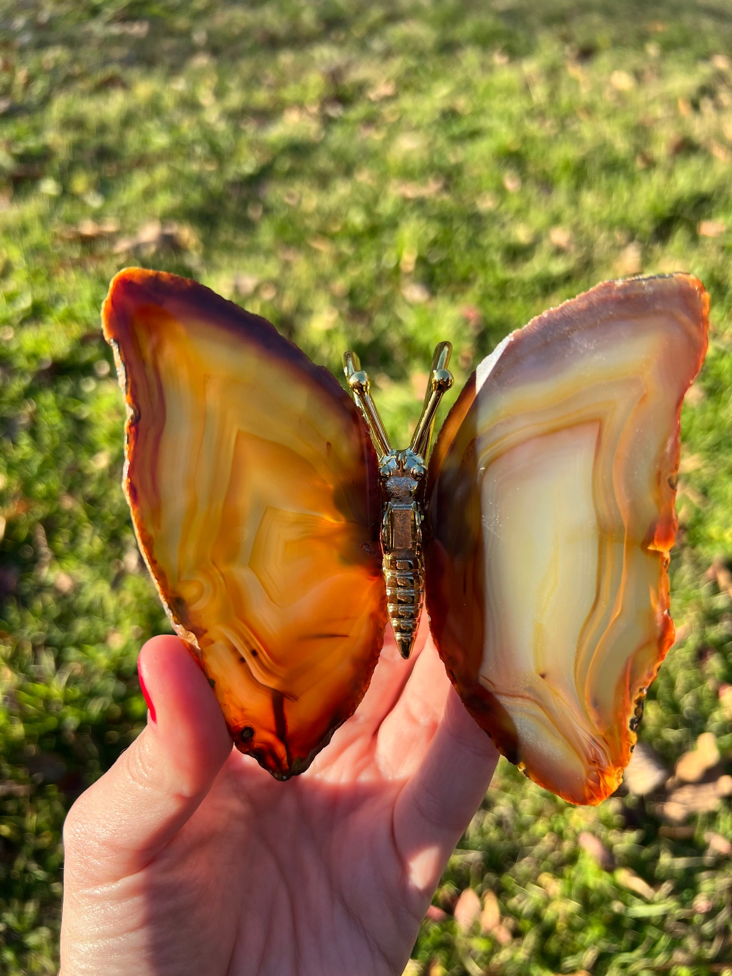 Agate Butterflies