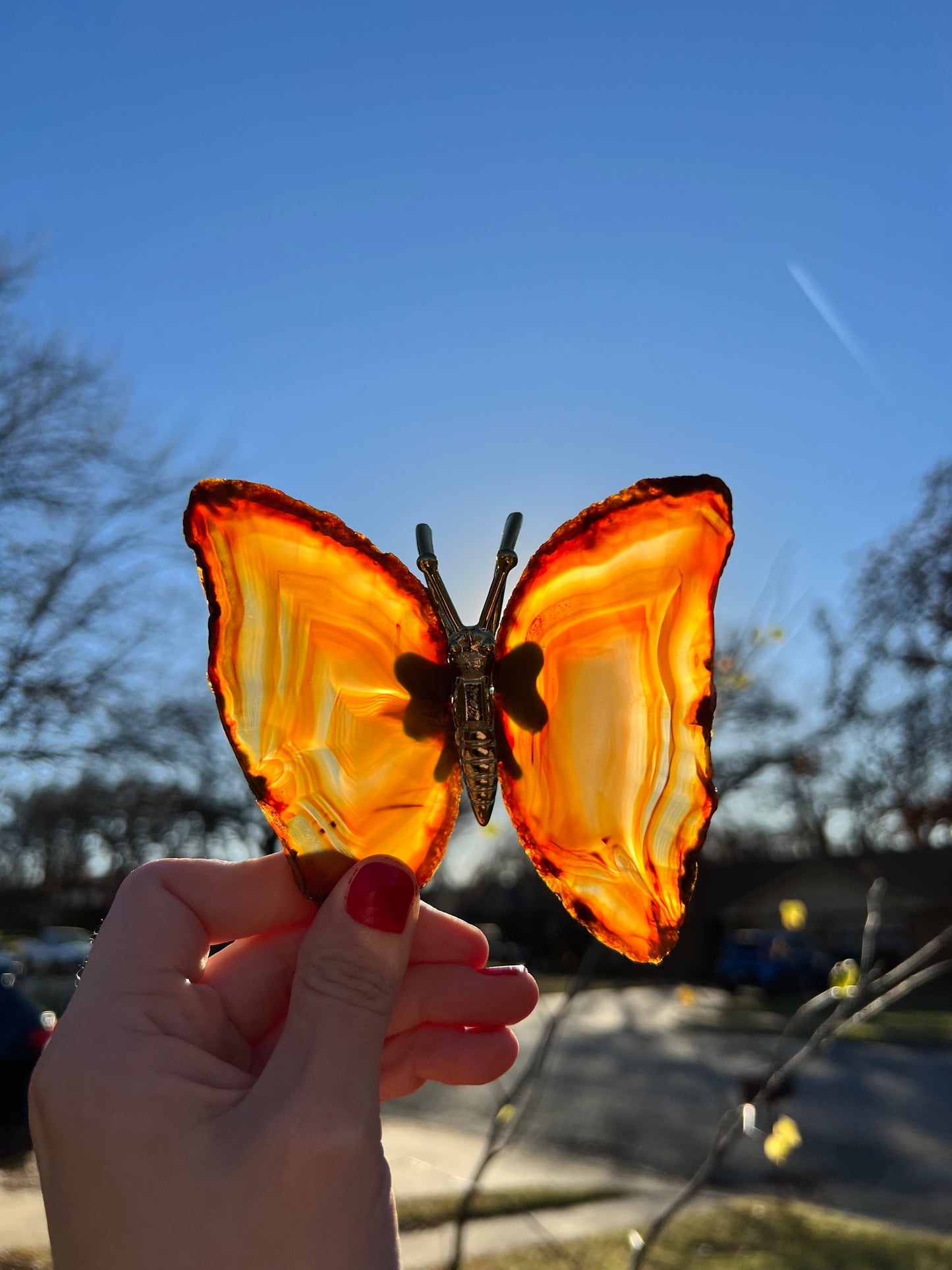 Agate Butterflies