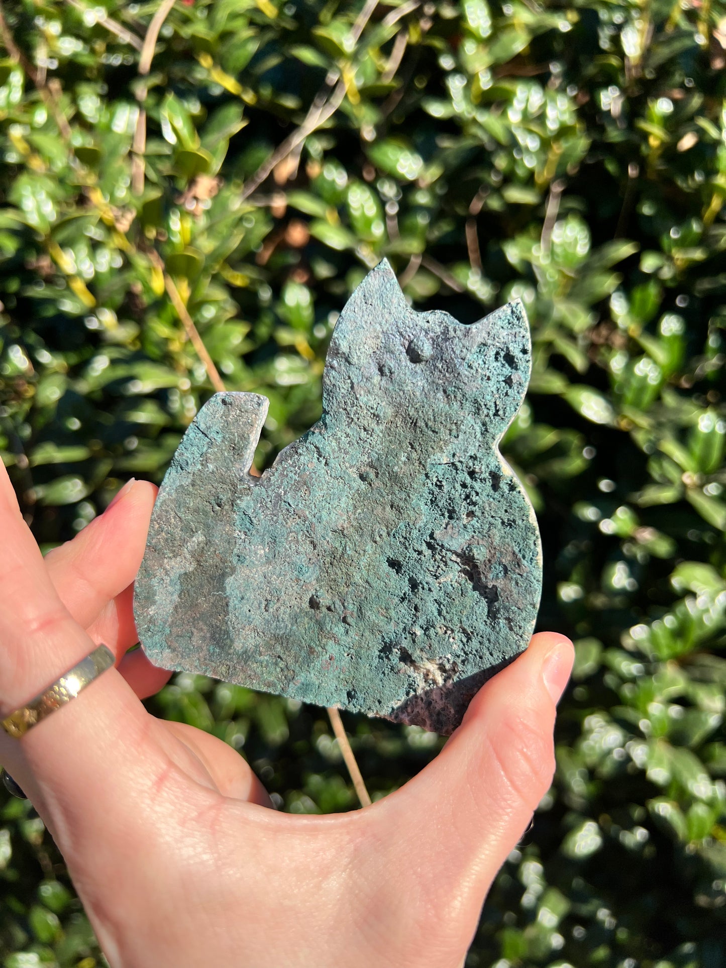 Angel Aura Amethyst Cats