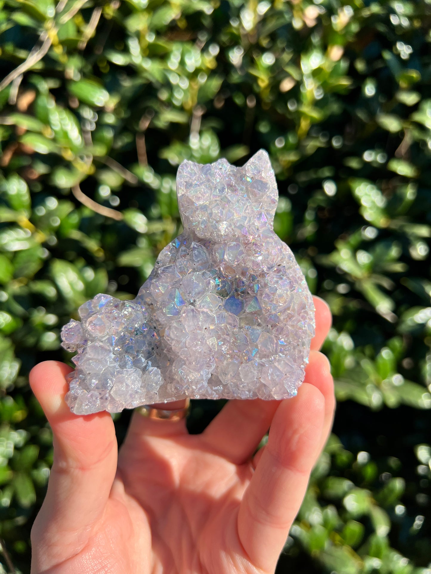 Angel Aura Amethyst Cats
