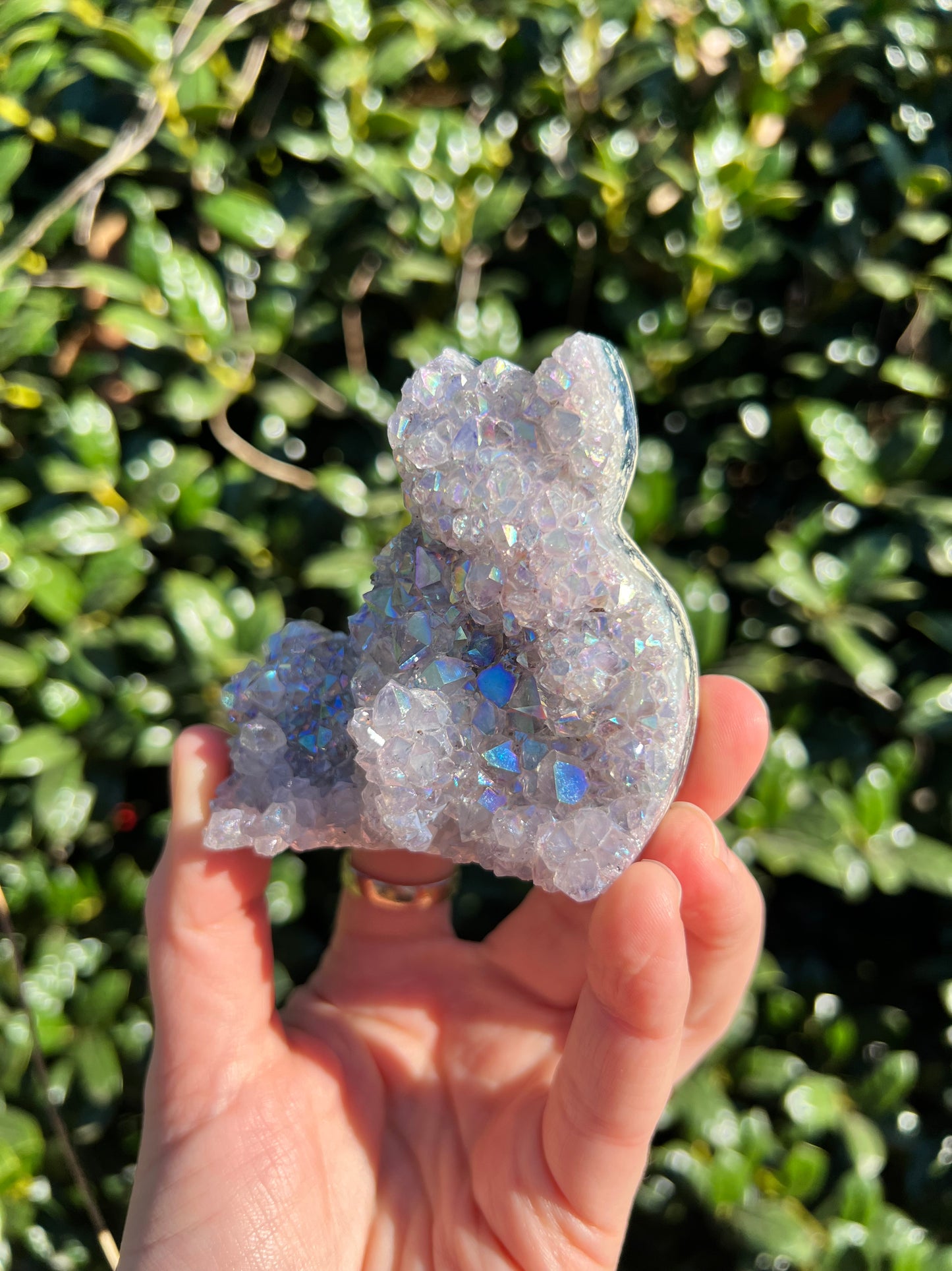 Angel Aura Amethyst Cats