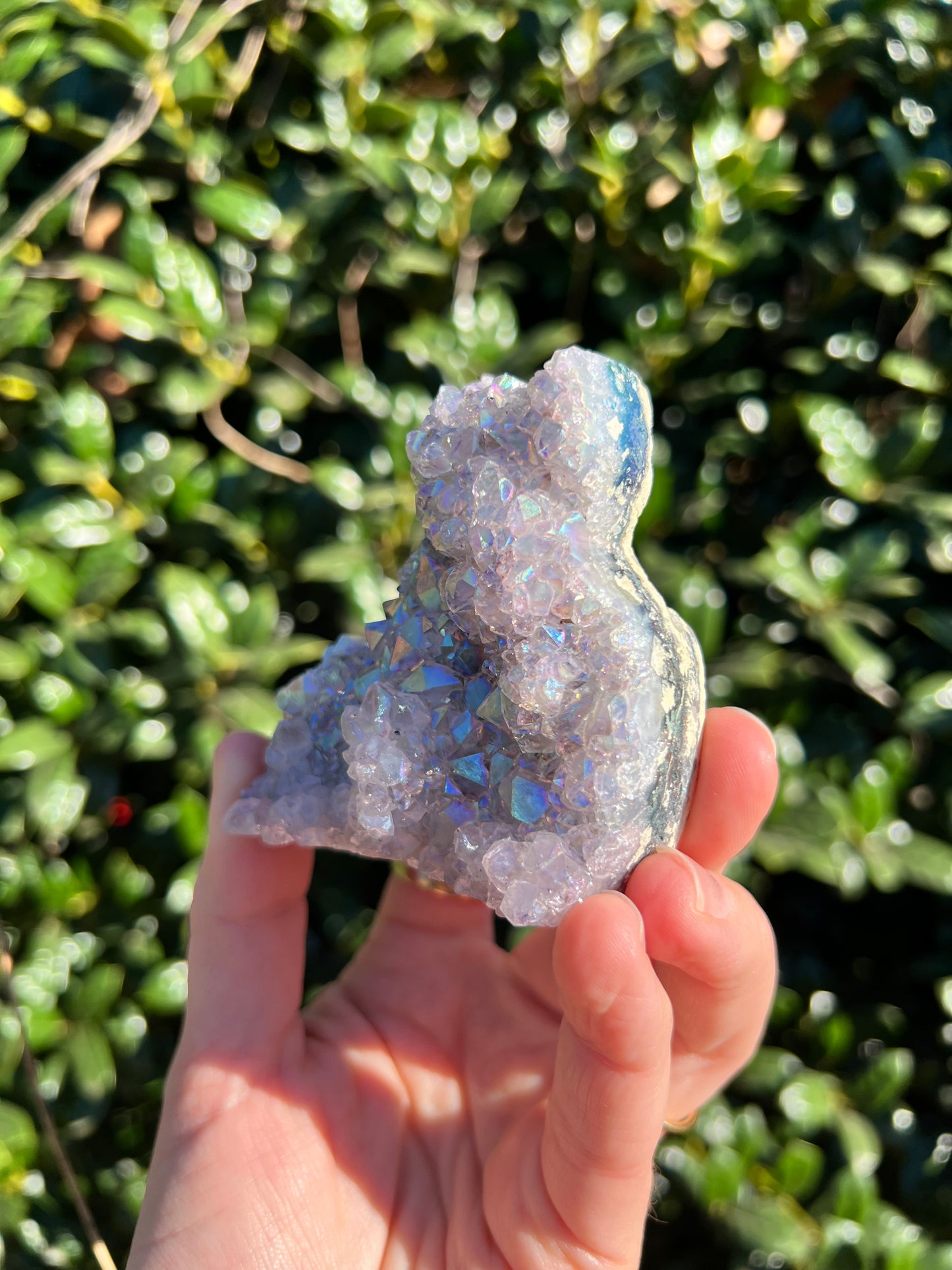 Angel Aura Amethyst Cats