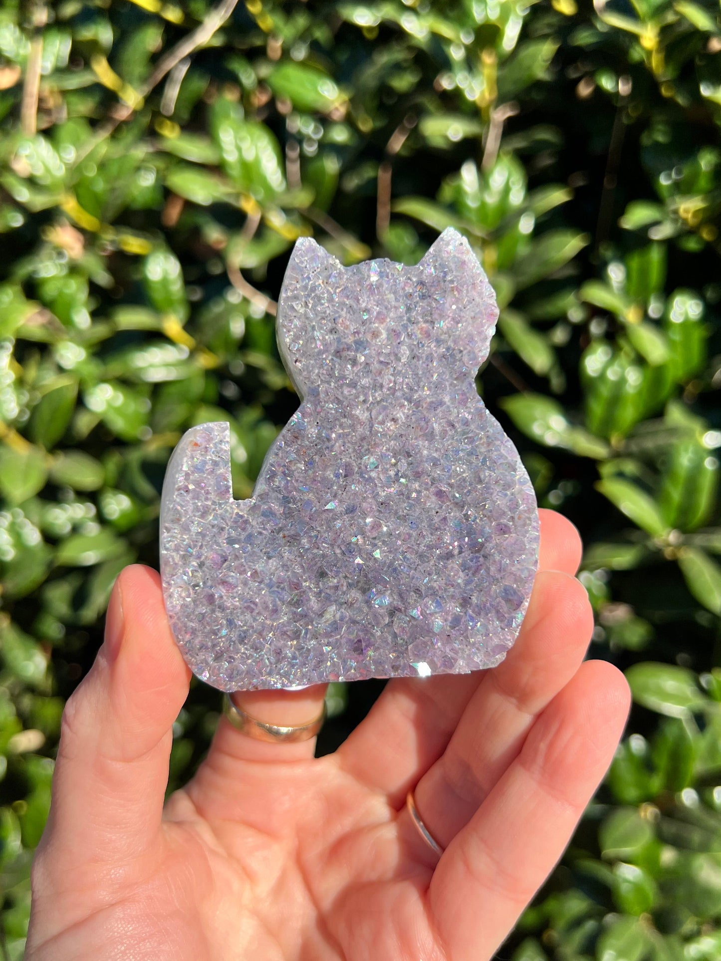 Angel Aura Amethyst Cats
