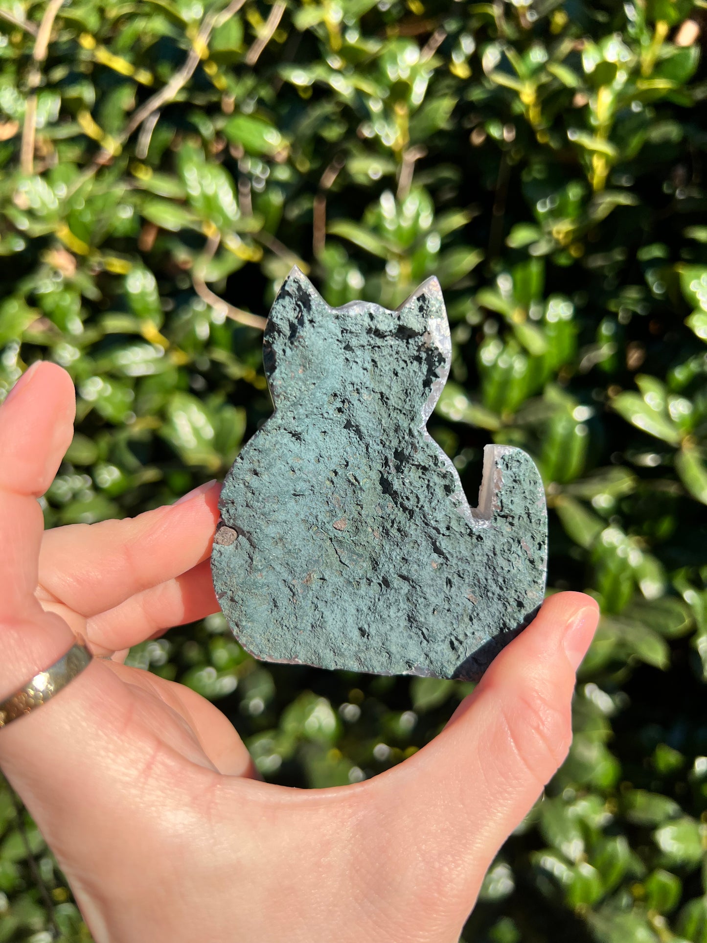 Angel Aura Amethyst Cats