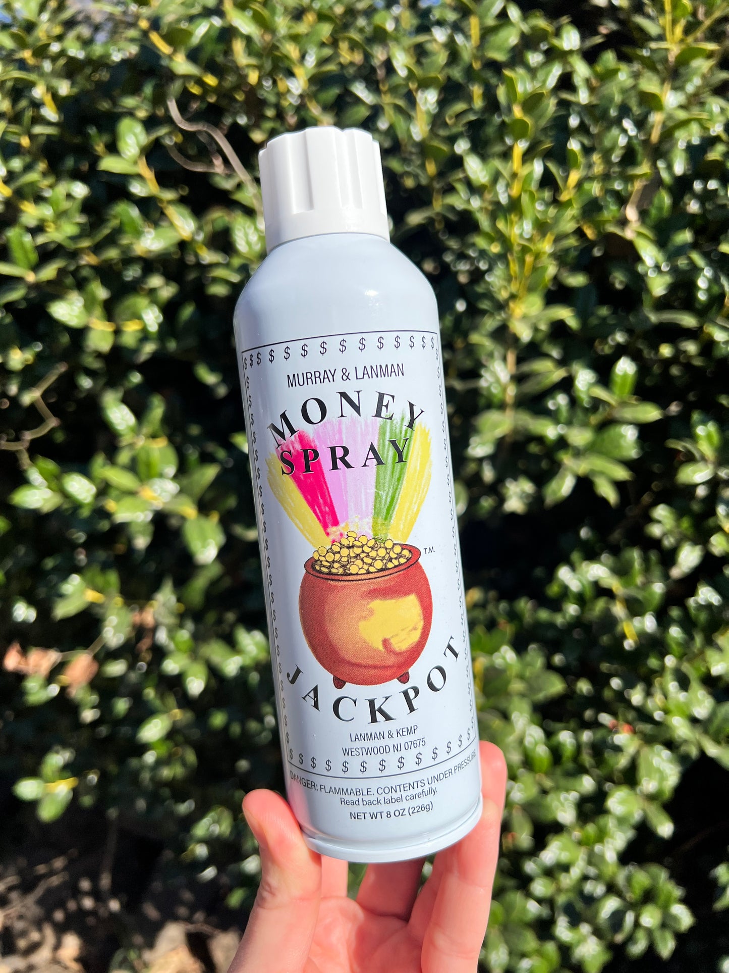 Money Jackpot Room Spray