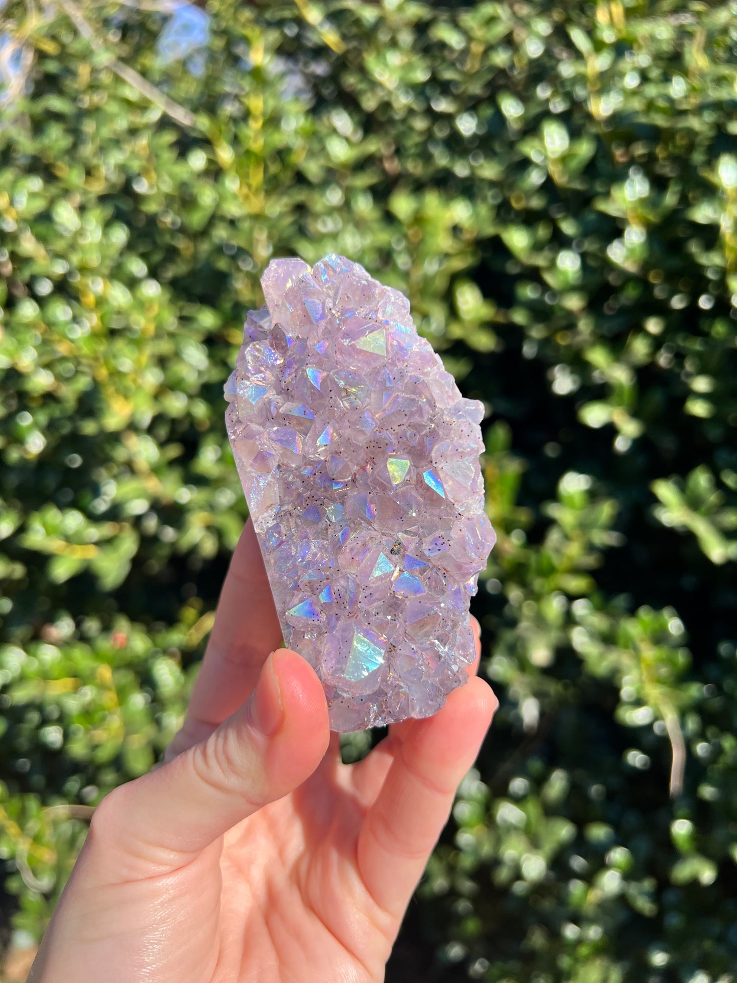 天使光环紫水晶自由形态