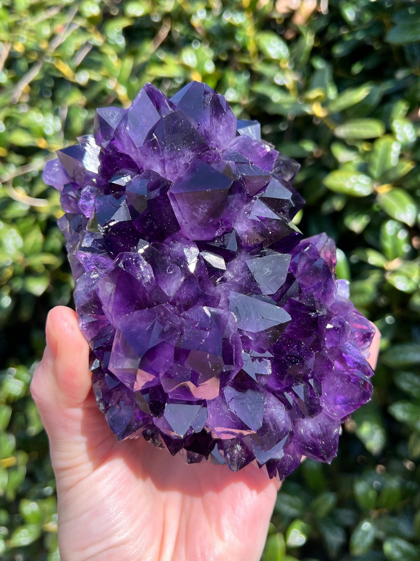 AAA Amethyst Pines