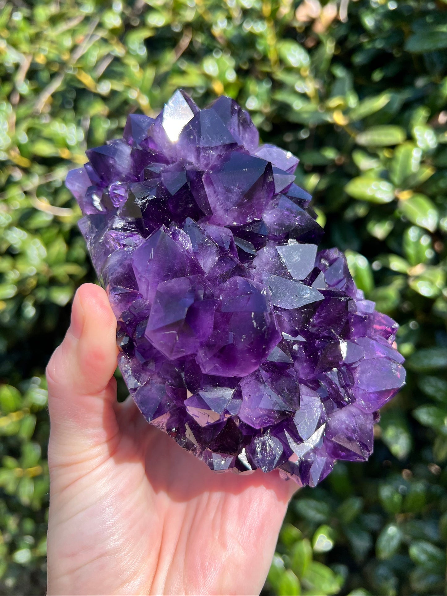 AAA Amethyst Pines