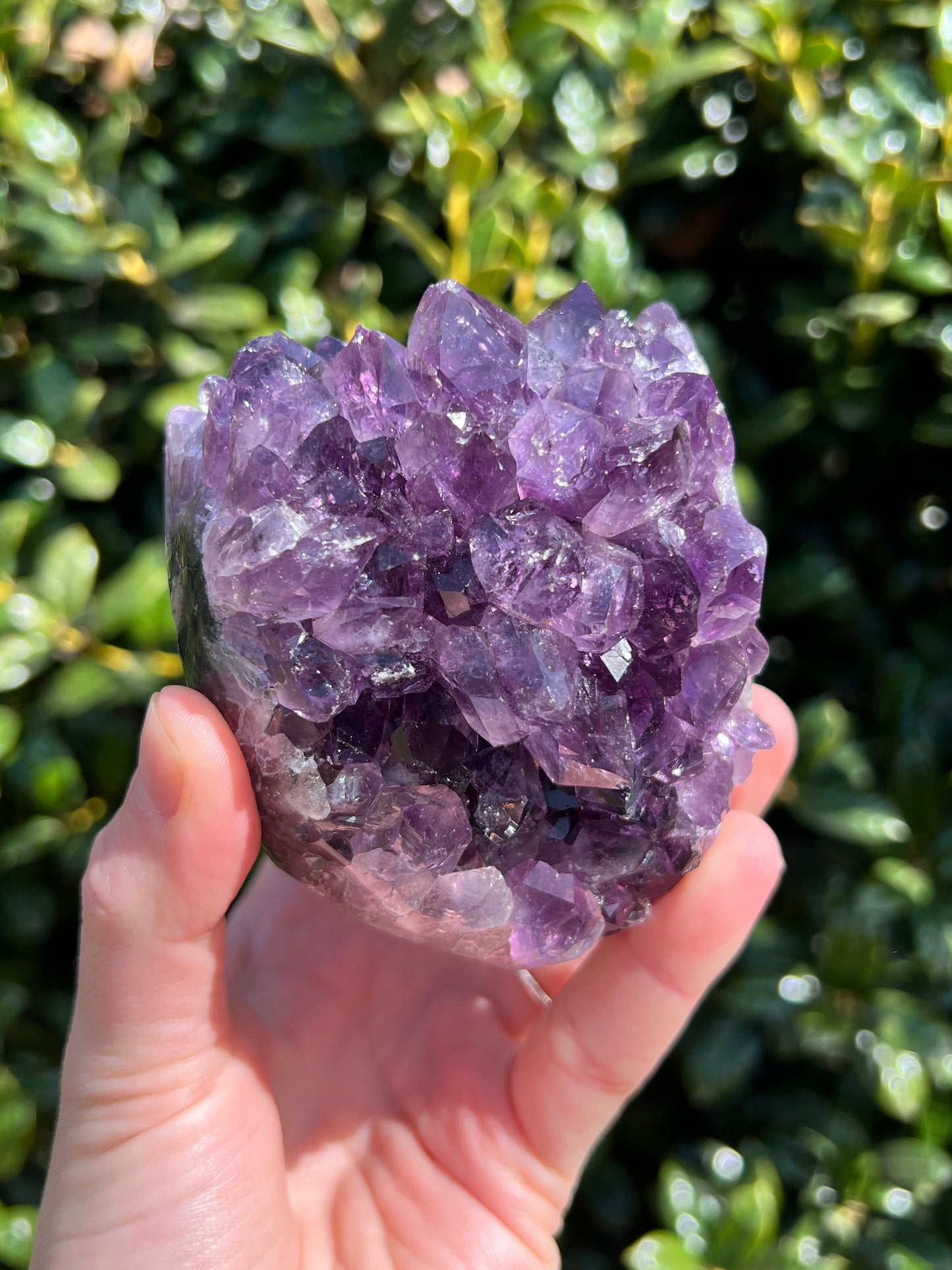 AAA Amethyst Pines