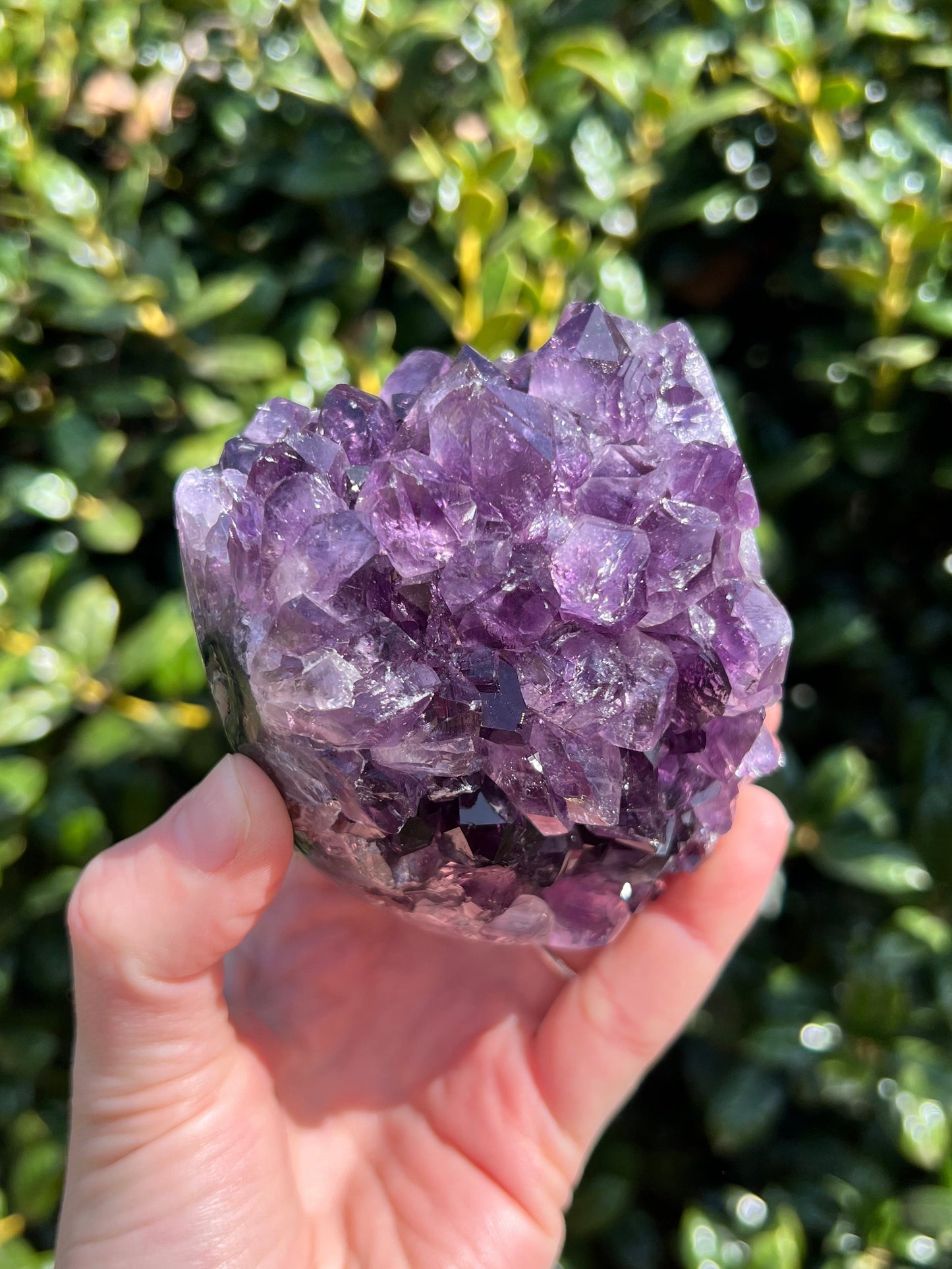 AAA Amethyst Pines